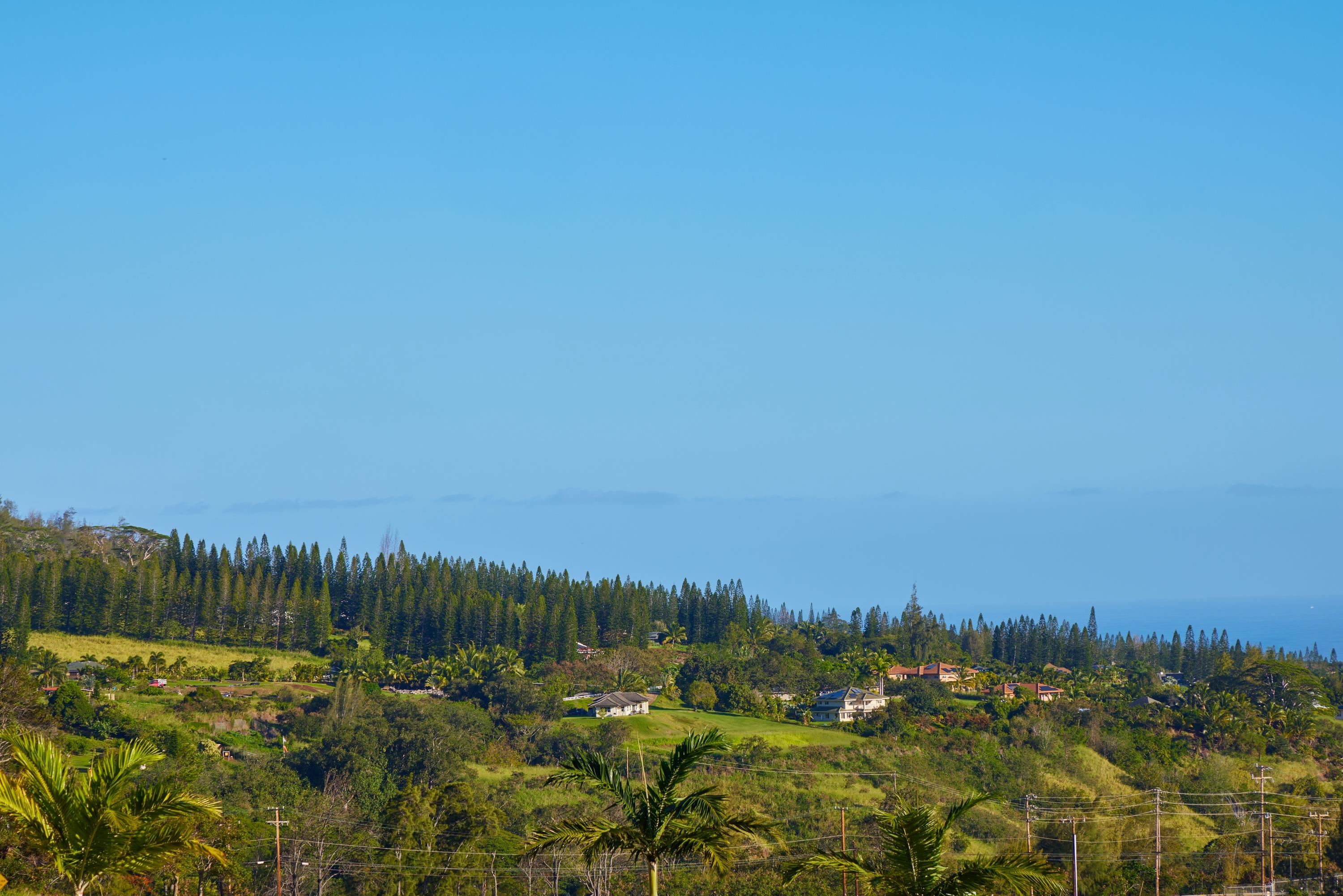 184 Laikeha Pl Lot 25 Wailuku, Hi vacant land for sale - photo 20 of 46