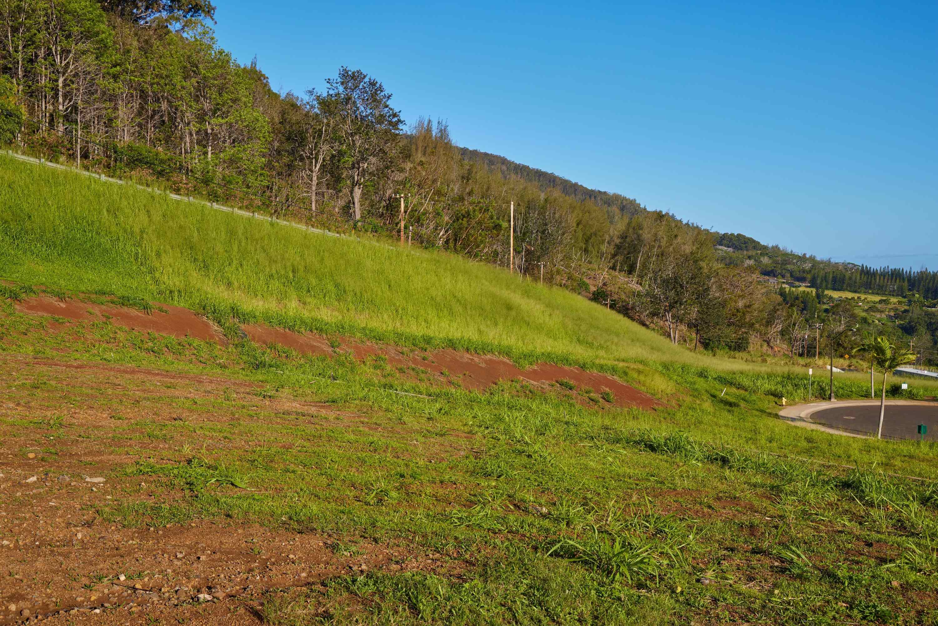 184 Laikeha Pl Lot 25 Wailuku, Hi vacant land for sale - photo 3 of 46