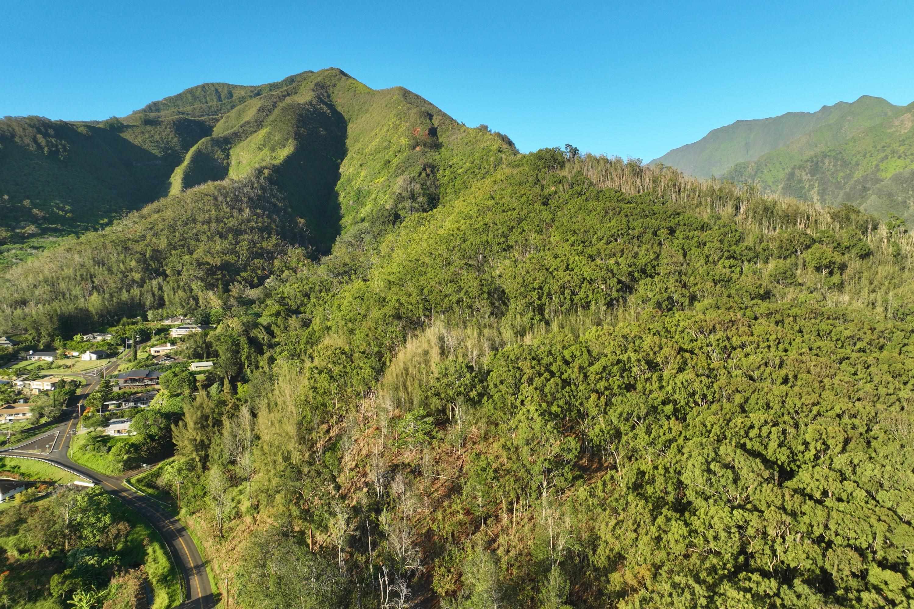 184 Laikeha Pl Lot 25 Wailuku, Hi vacant land for sale - photo 26 of 46