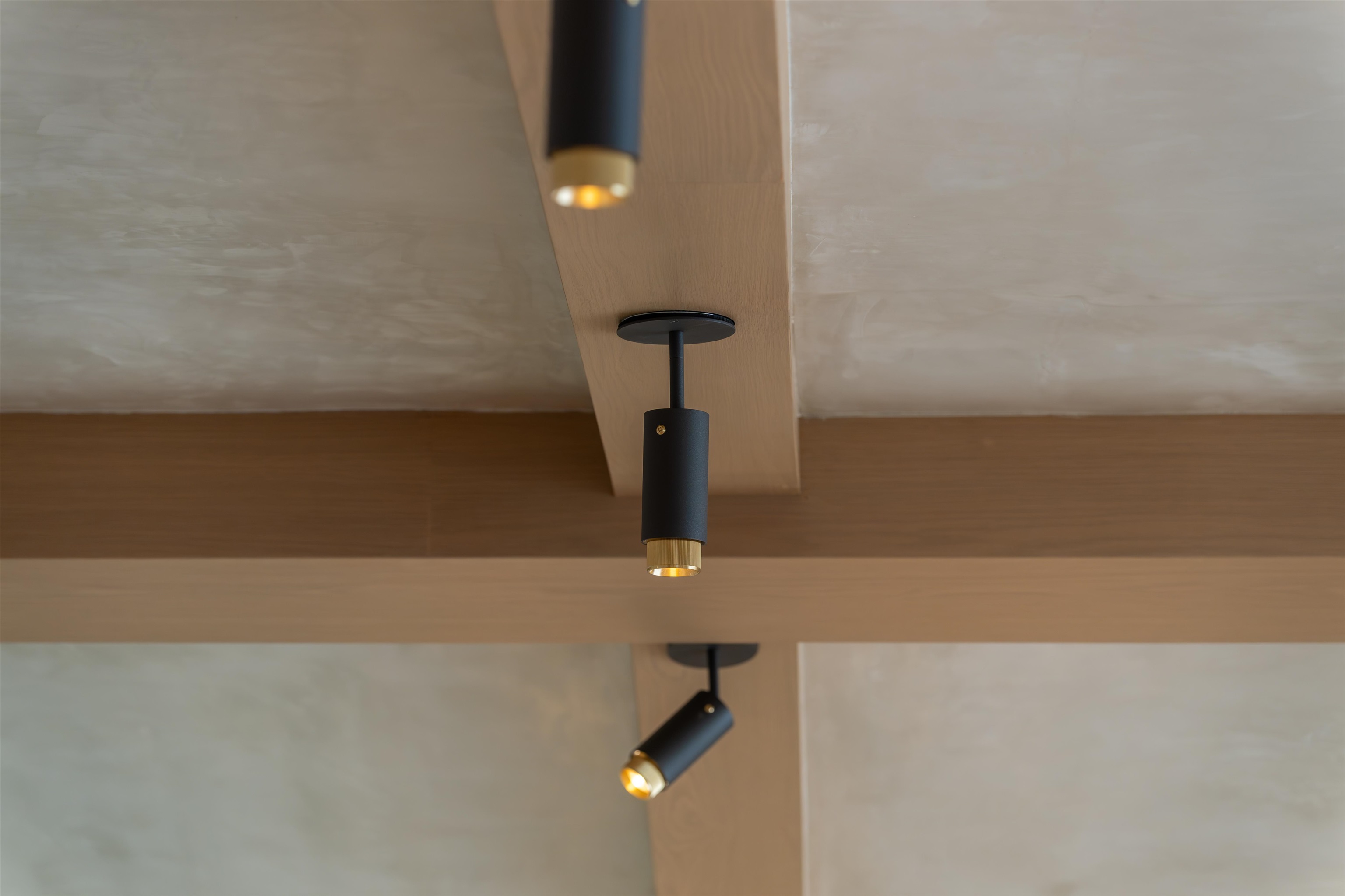 184  Lolowaa Pl Wailea, Wailea/Makena home - photo 18 of 50