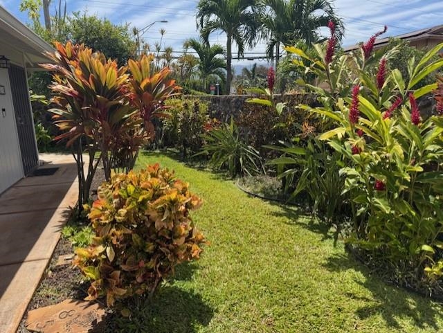 185  Kauhaa St North Kihei, Kihei home - photo 44 of 47