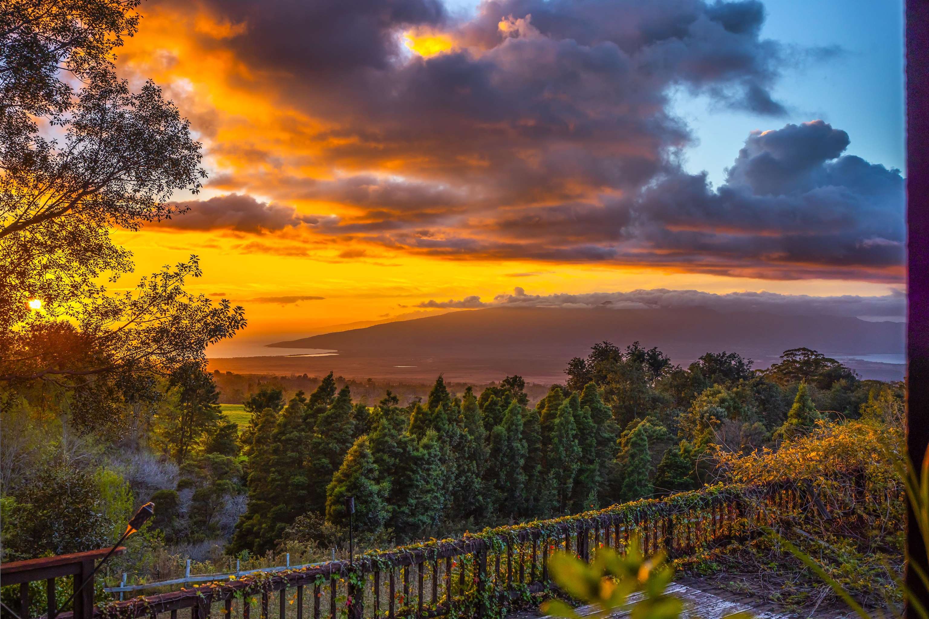 1854  Olinda Rd Olinda, Makawao/Olinda/Haliimaile home - photo 3 of 26