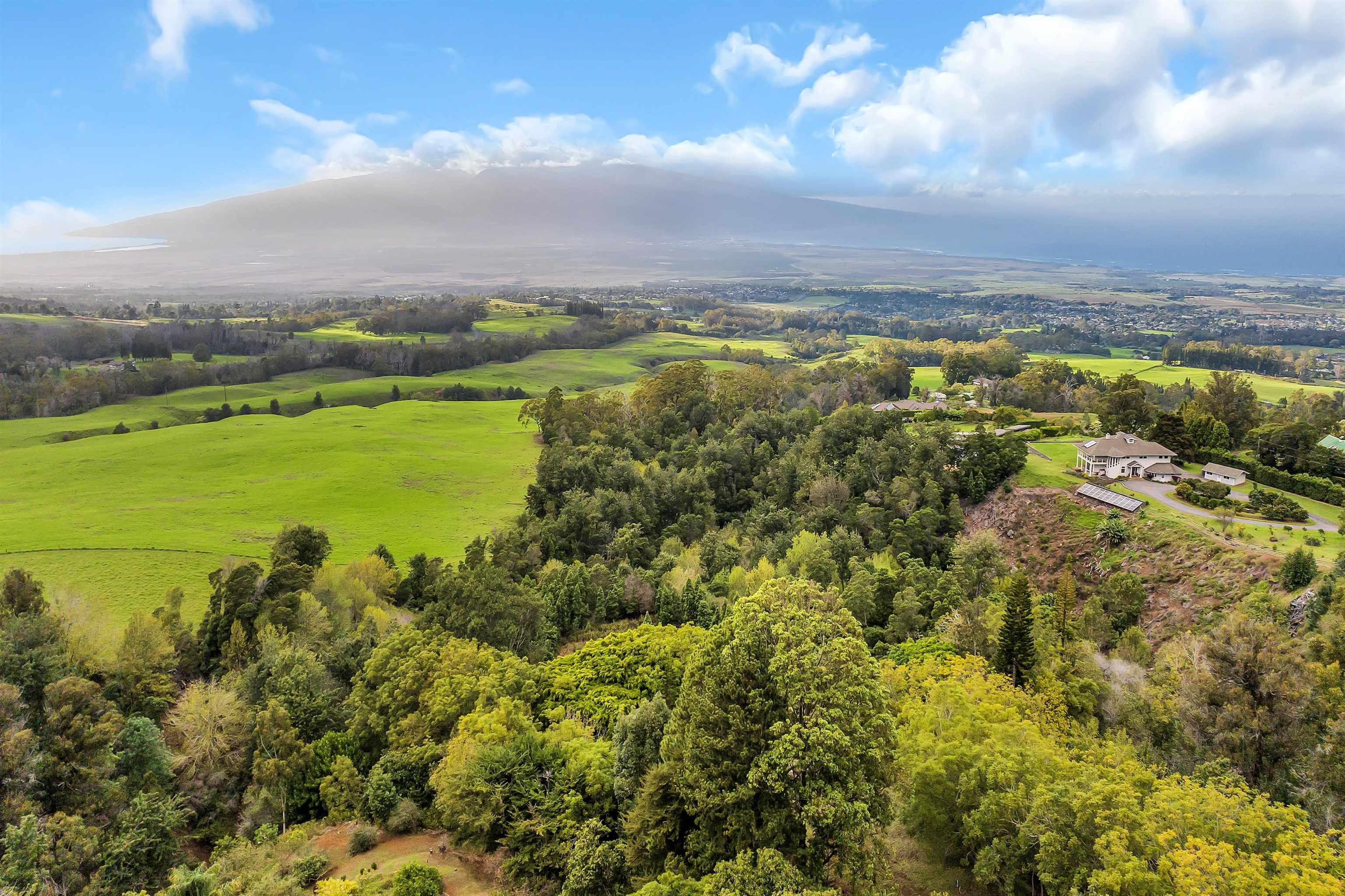 1854  Olinda Rd Olinda, Makawao/Olinda/Haliimaile home - photo 22 of 26