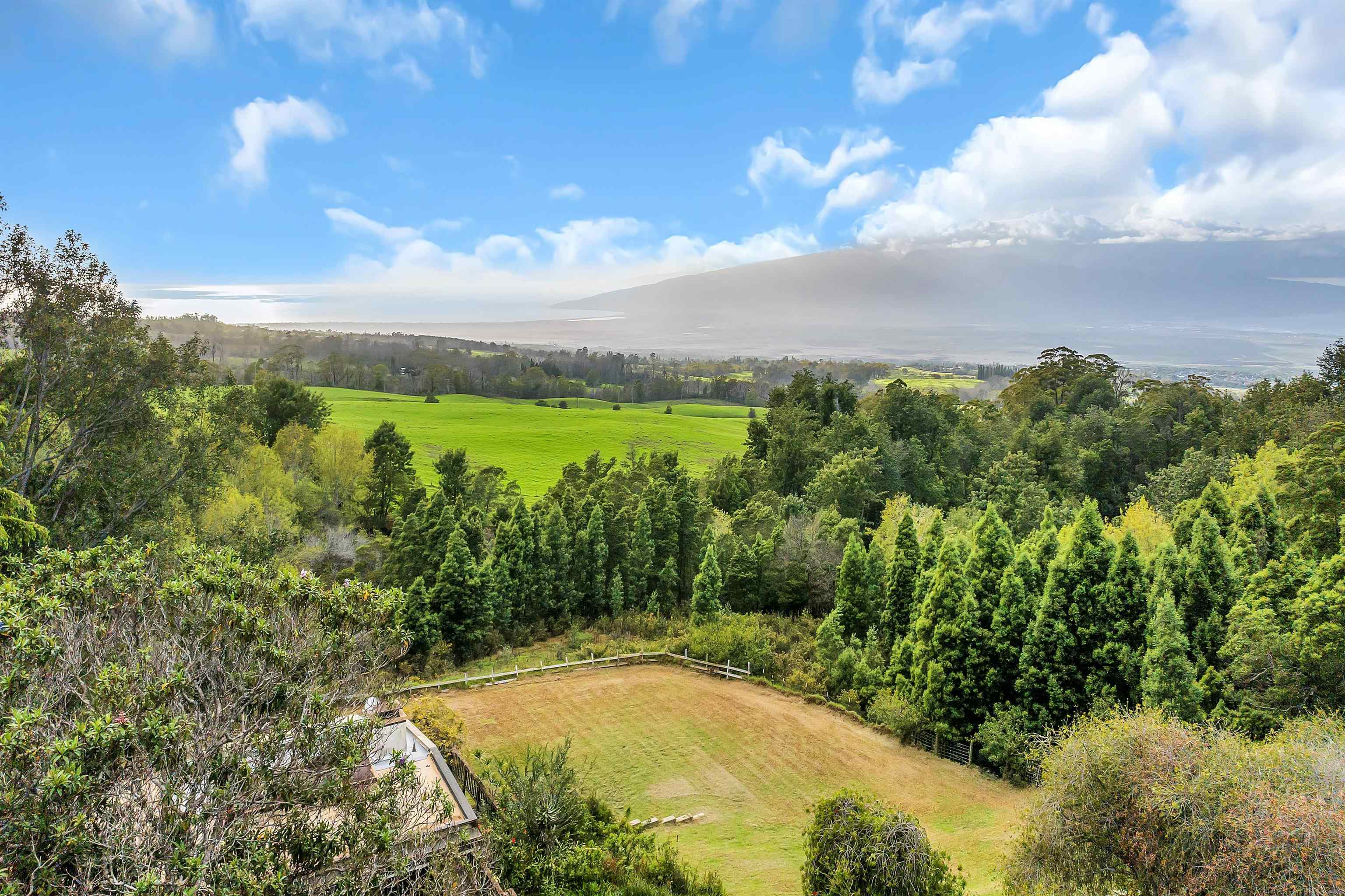 1854  Olinda Rd Olinda, Makawao/Olinda/Haliimaile home - photo 23 of 26
