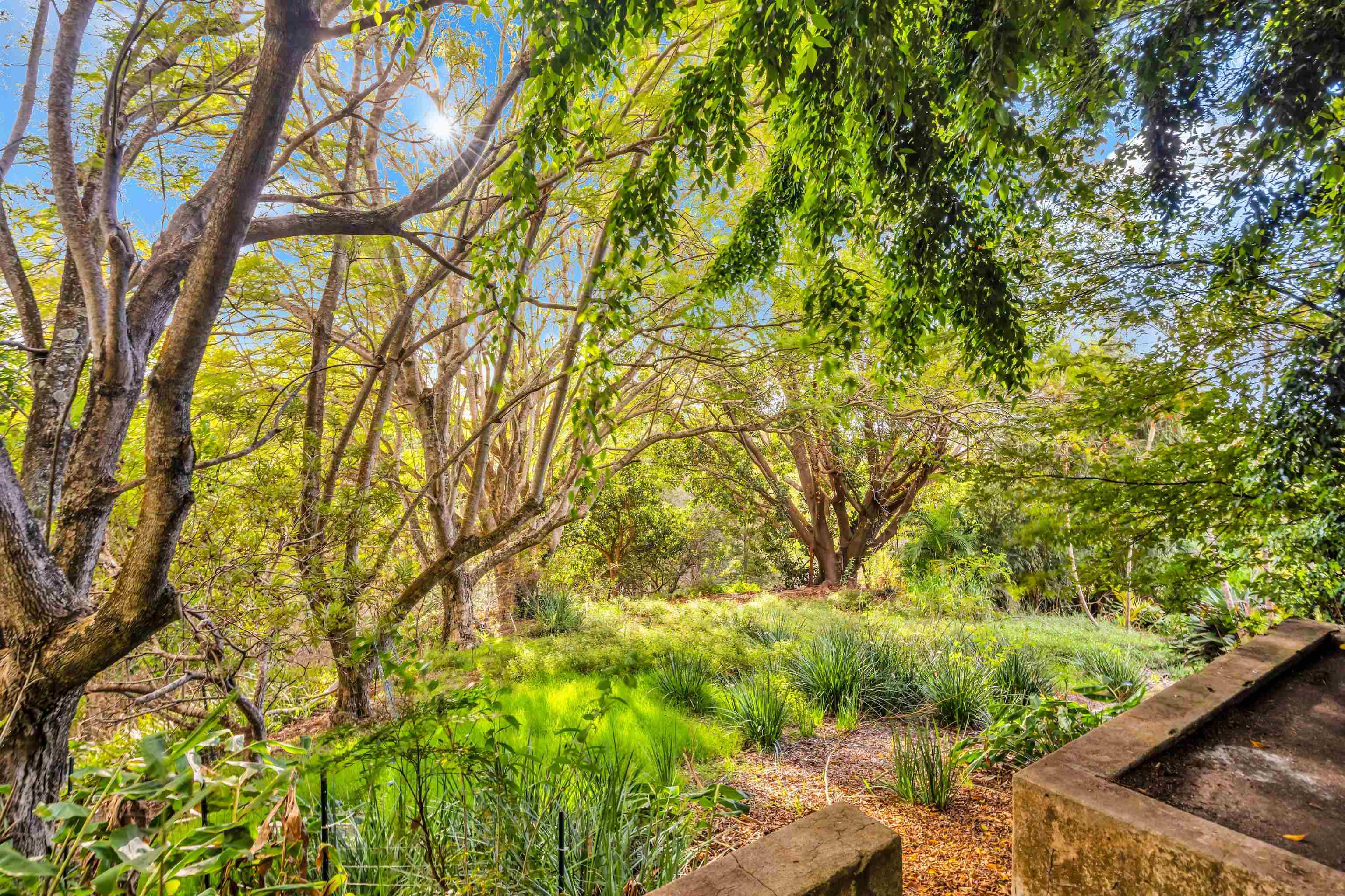 1854  Olinda Rd Olinda, Makawao/Olinda/Haliimaile home - photo 24 of 26