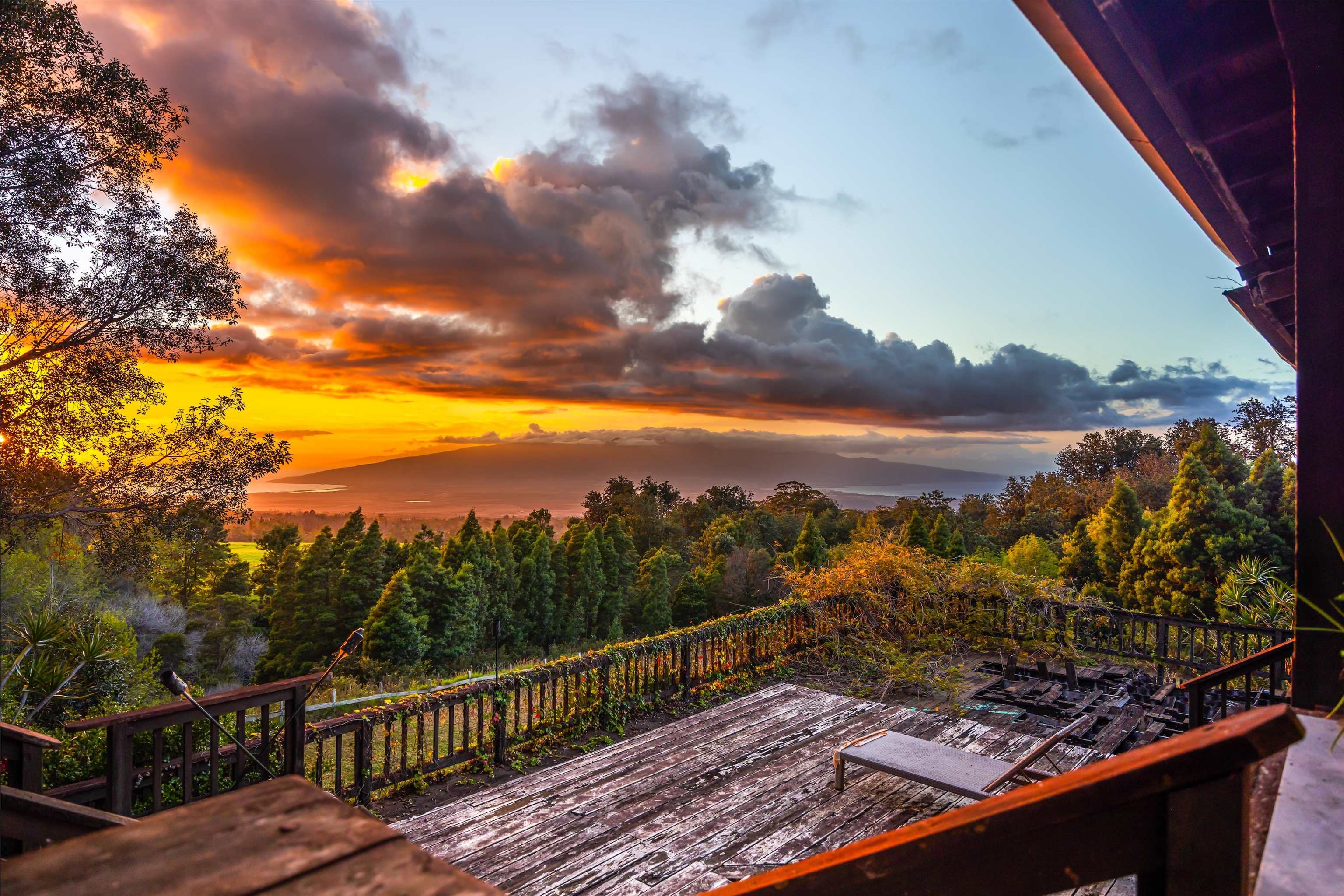 1854  Olinda Rd Olinda, Makawao/Olinda/Haliimaile home - photo 26 of 26