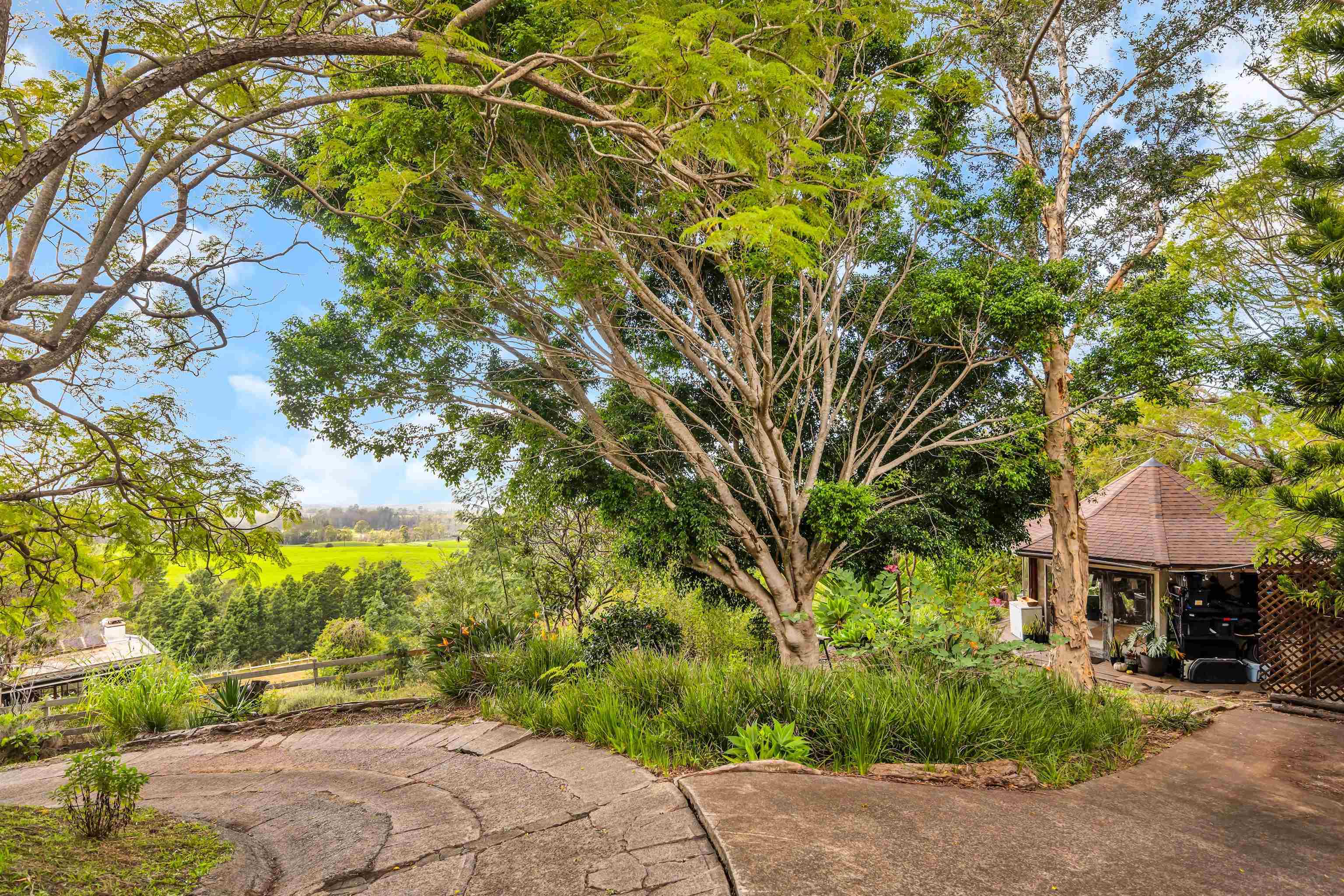 1854  Olinda Rd Olinda, Makawao/Olinda/Haliimaile home - photo 6 of 26