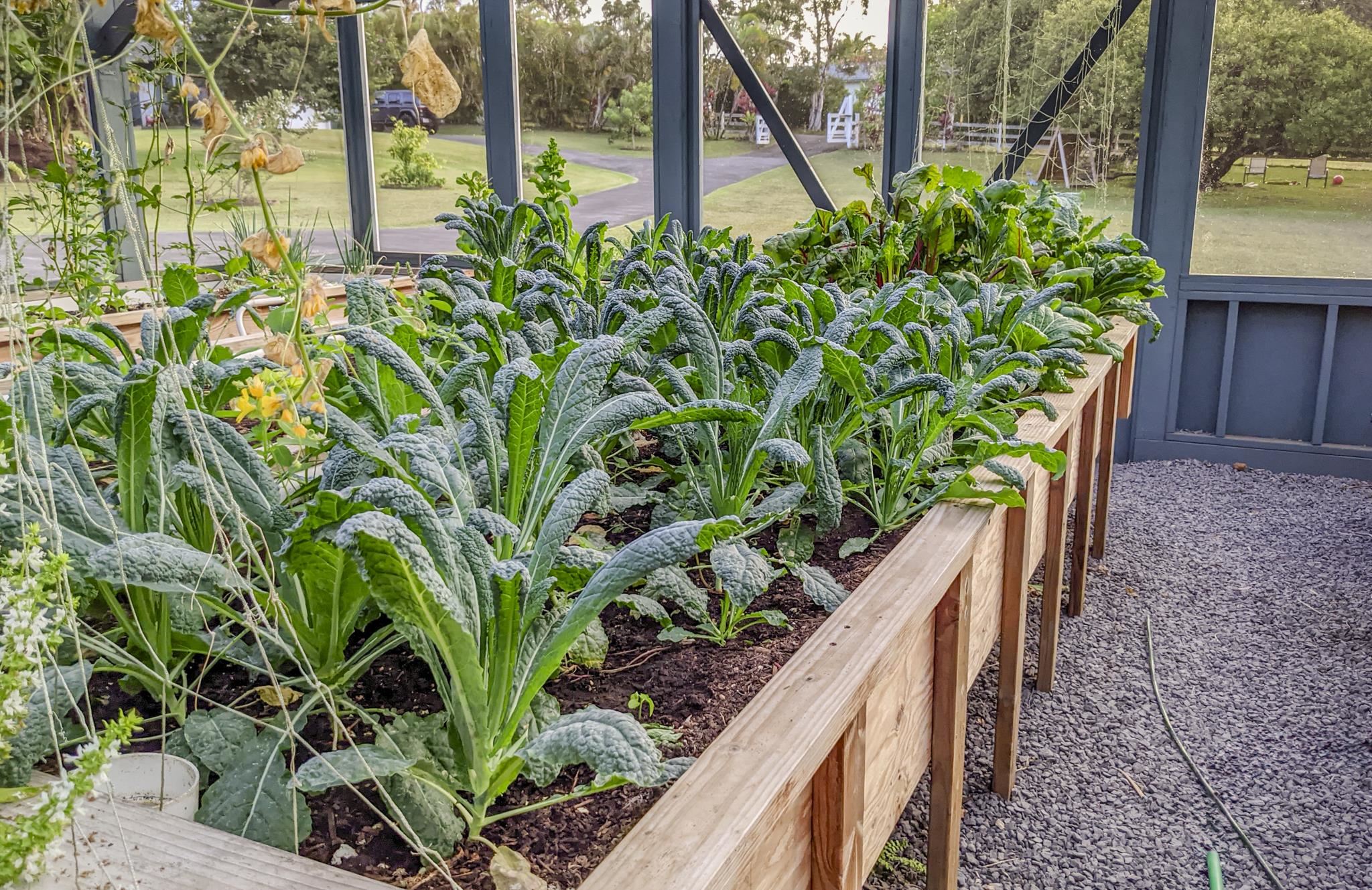 1865  Kalia Way , Haiku home - photo 37 of 50