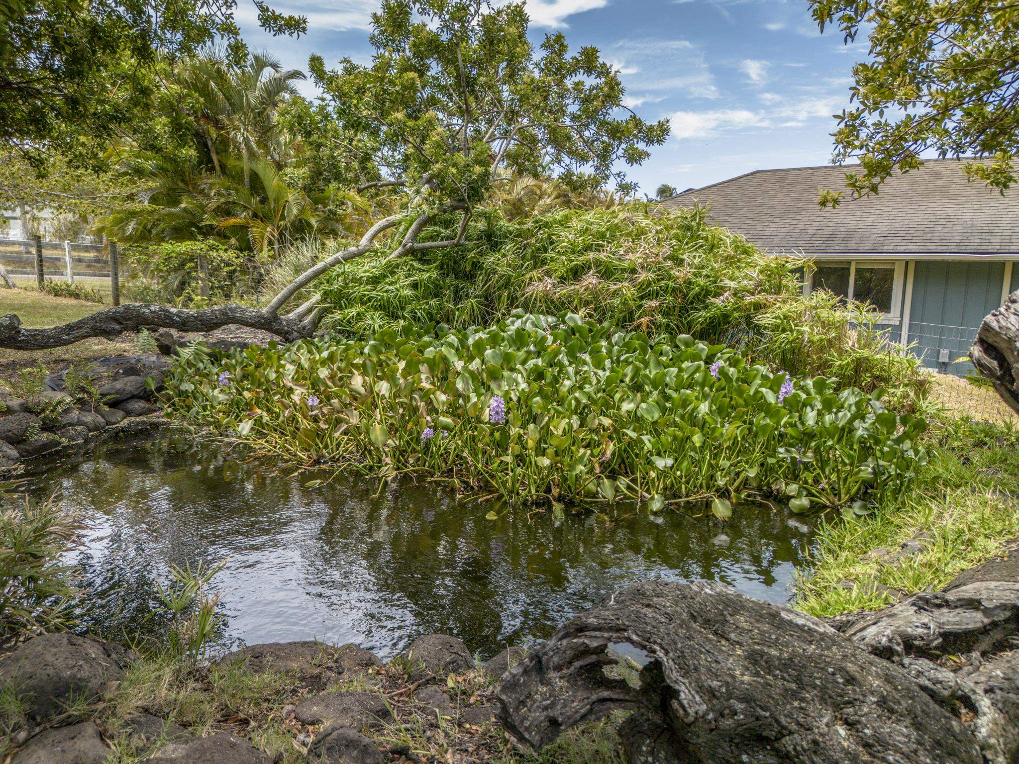 1865  Kalia Way , Haiku home - photo 39 of 50