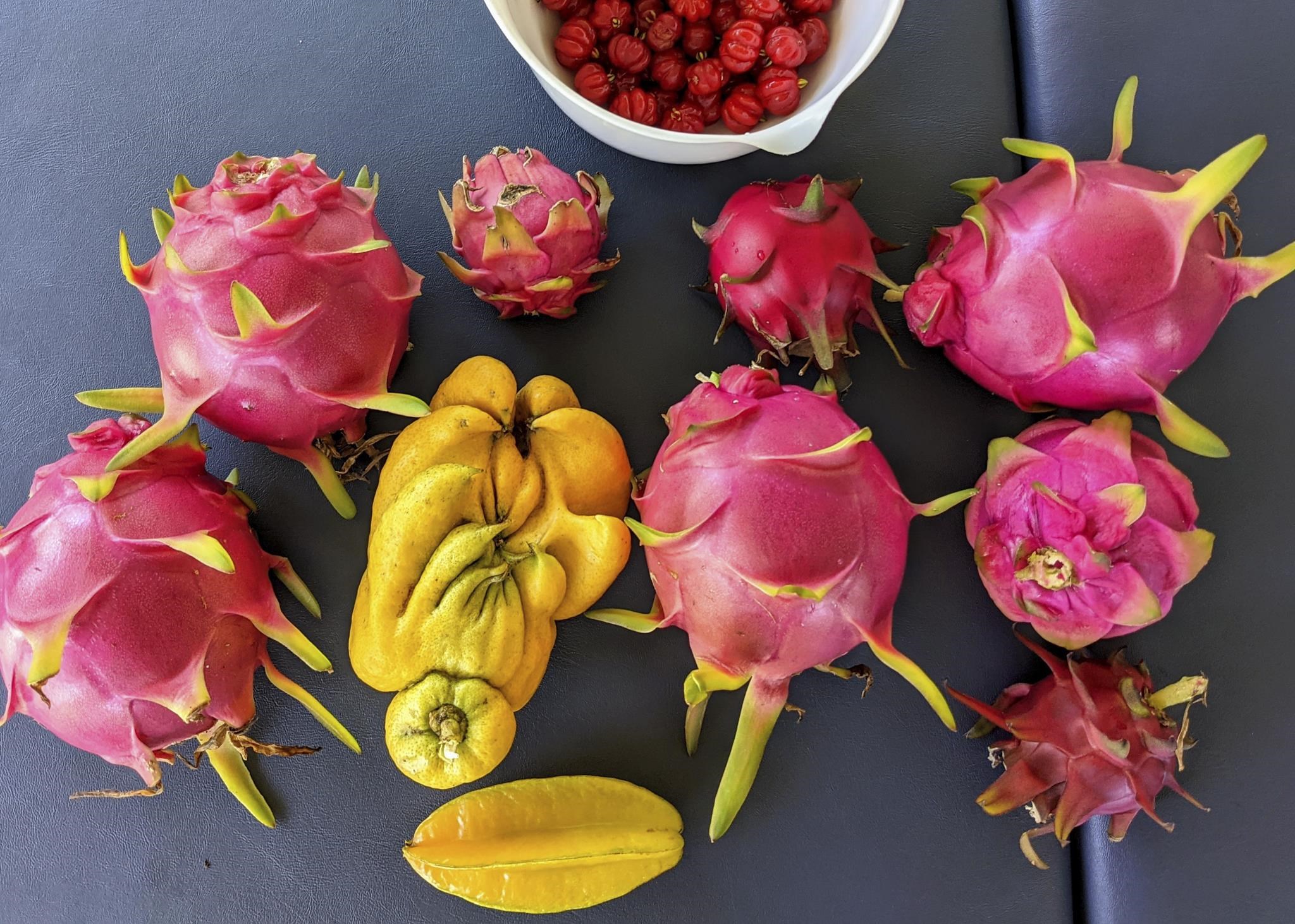 1865  Kalia Way , Haiku home - photo 40 of 50