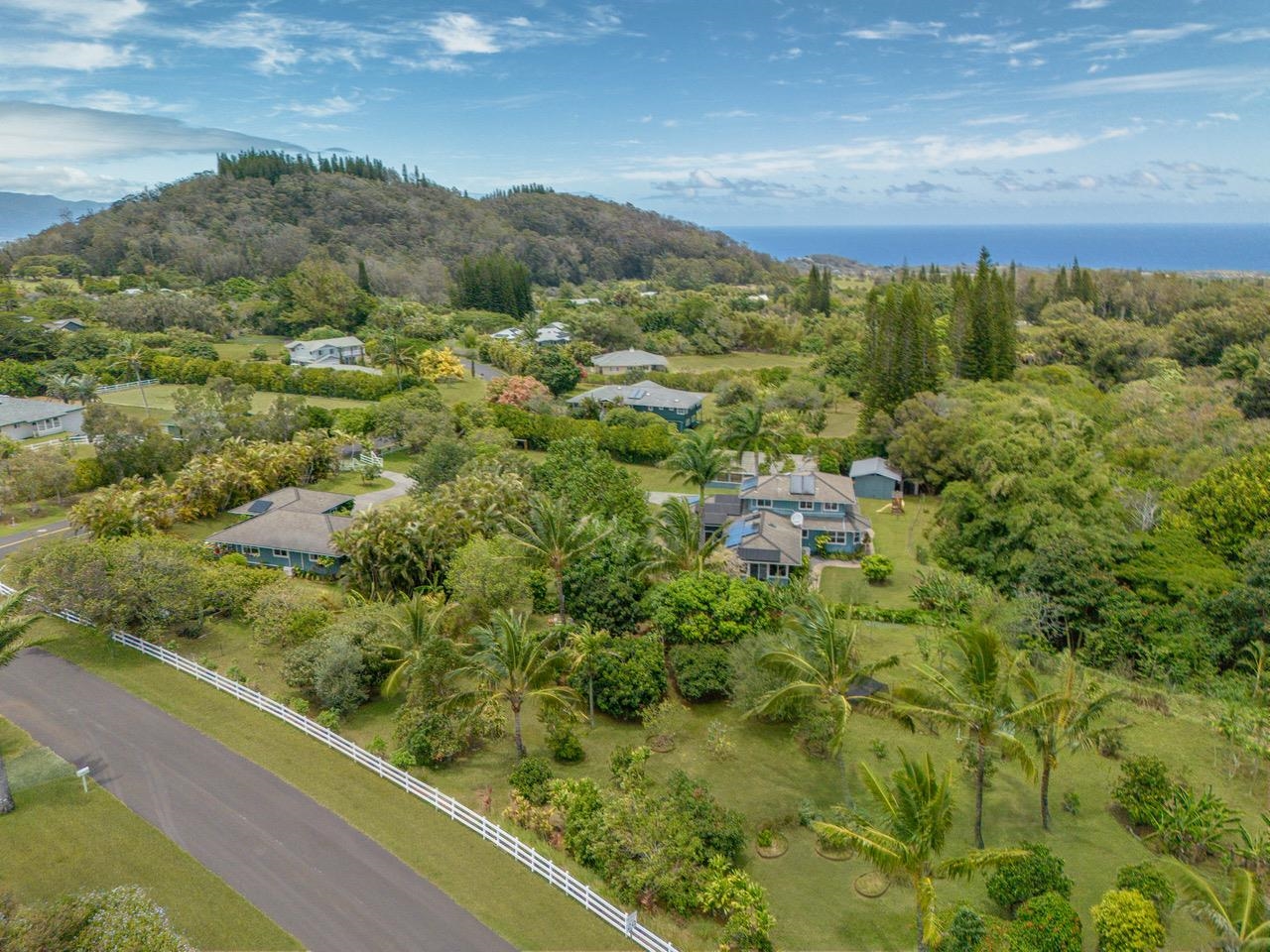 1865  Kalia Way , Haiku home - photo 49 of 50