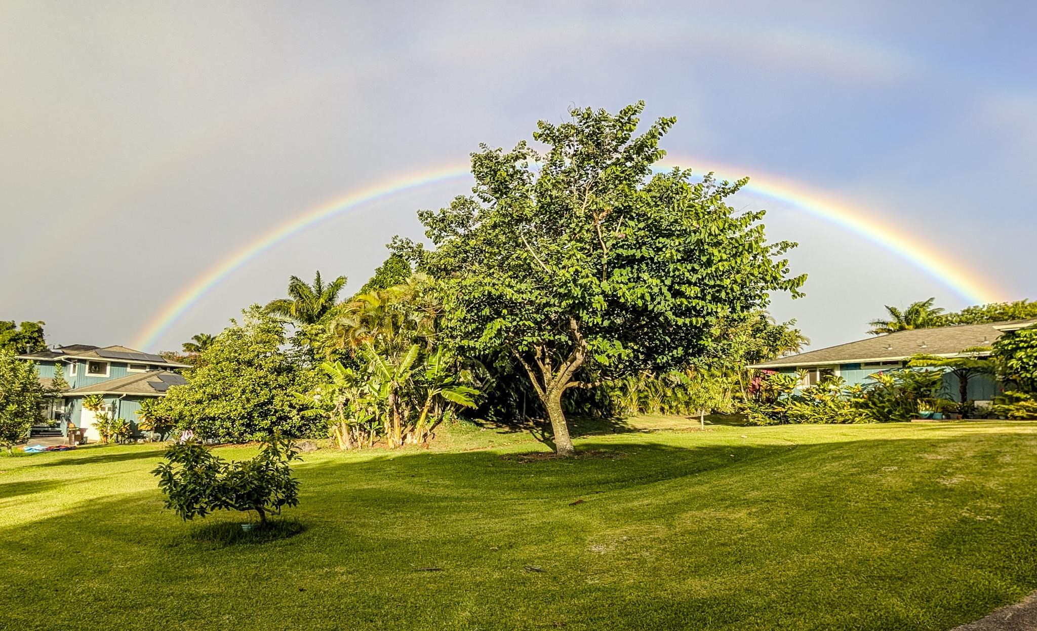 1865  Kalia Way , Haiku home - photo 50 of 50