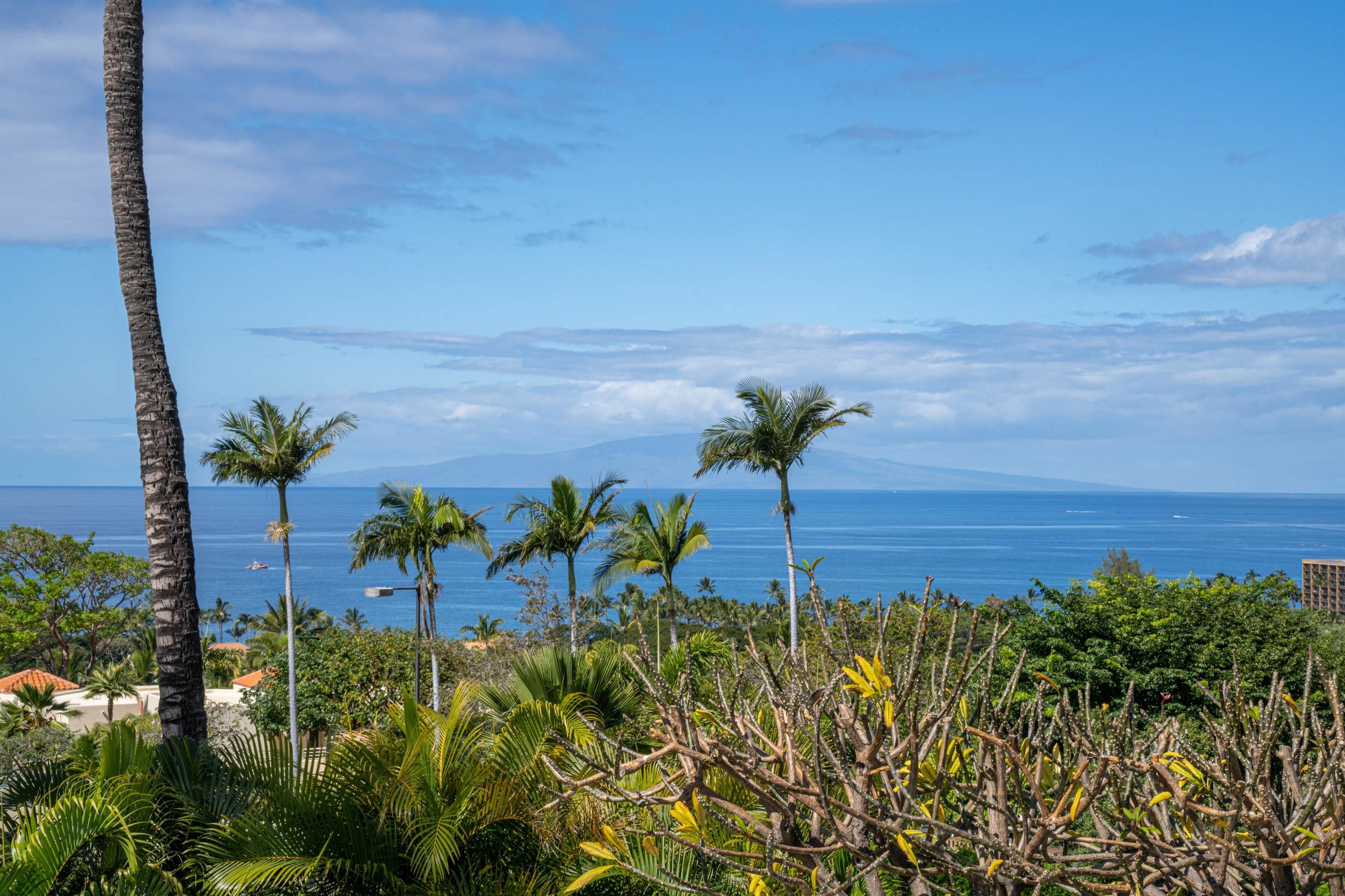 187  Heleuma Pl Wailea, Wailea/Makena home - photo 33 of 34