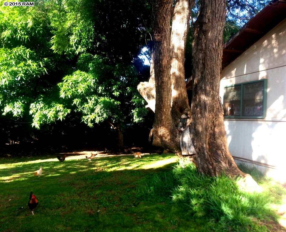 188  Ikea Pl , Pukalani home - photo 11 of 17