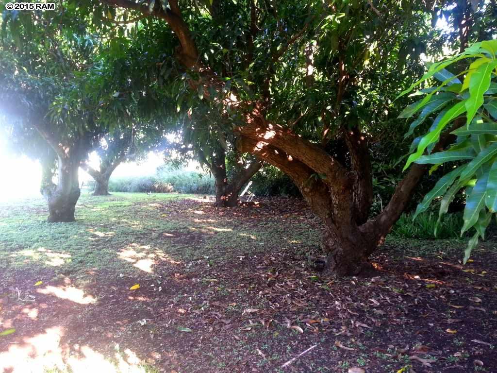 188  Ikea Pl , Pukalani home - photo 7 of 17