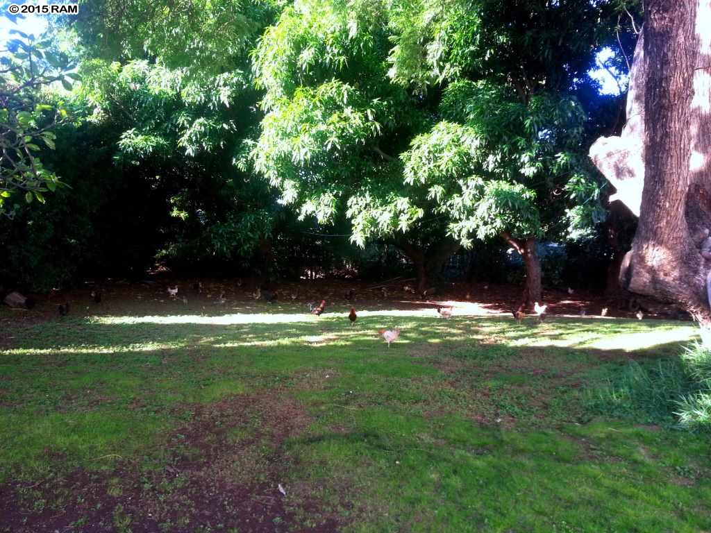 188  Ikea Pl , Pukalani home - photo 10 of 17