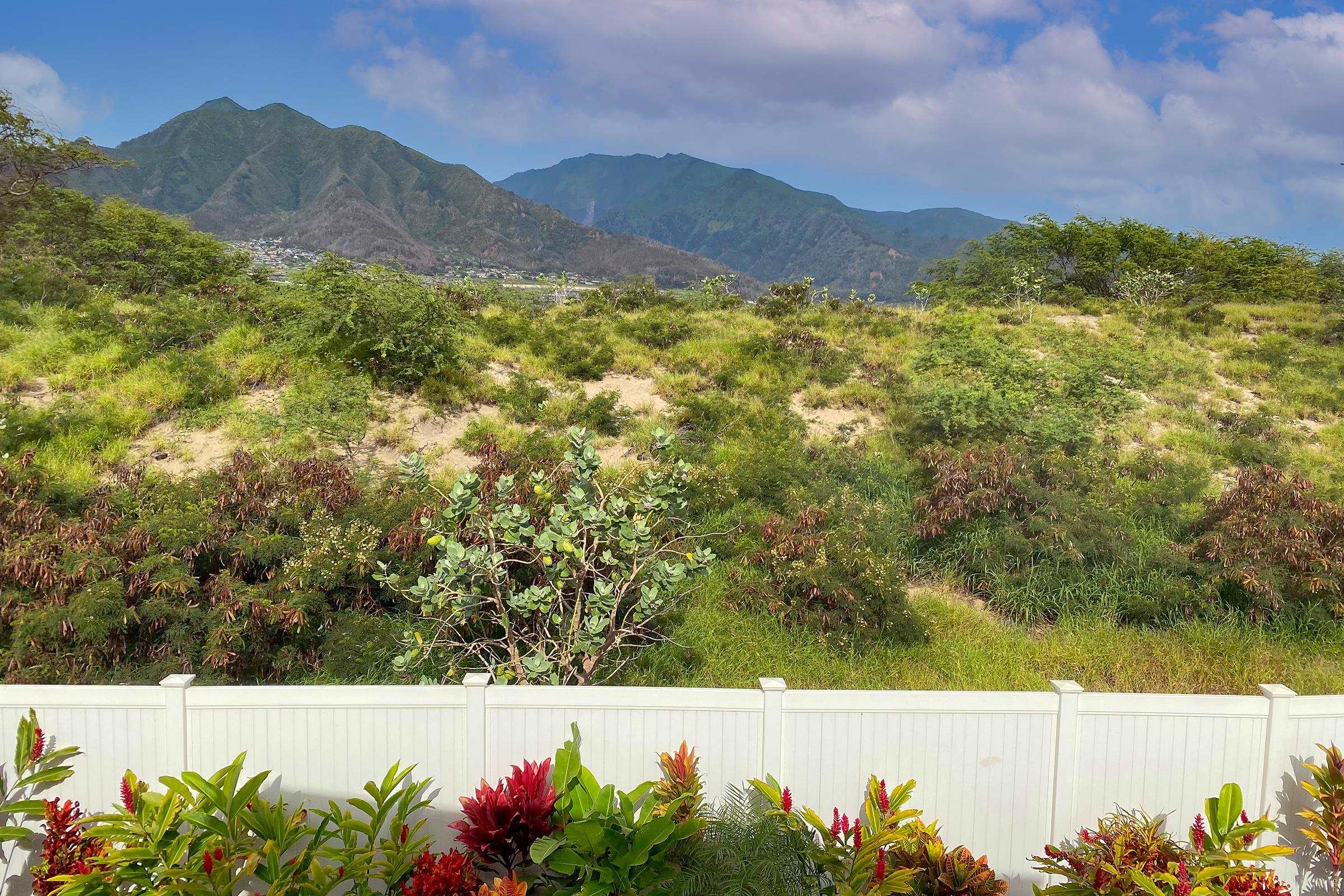 189  Kuena Ln Parkways At Maui Lani, Kahului home - photo 5 of 48