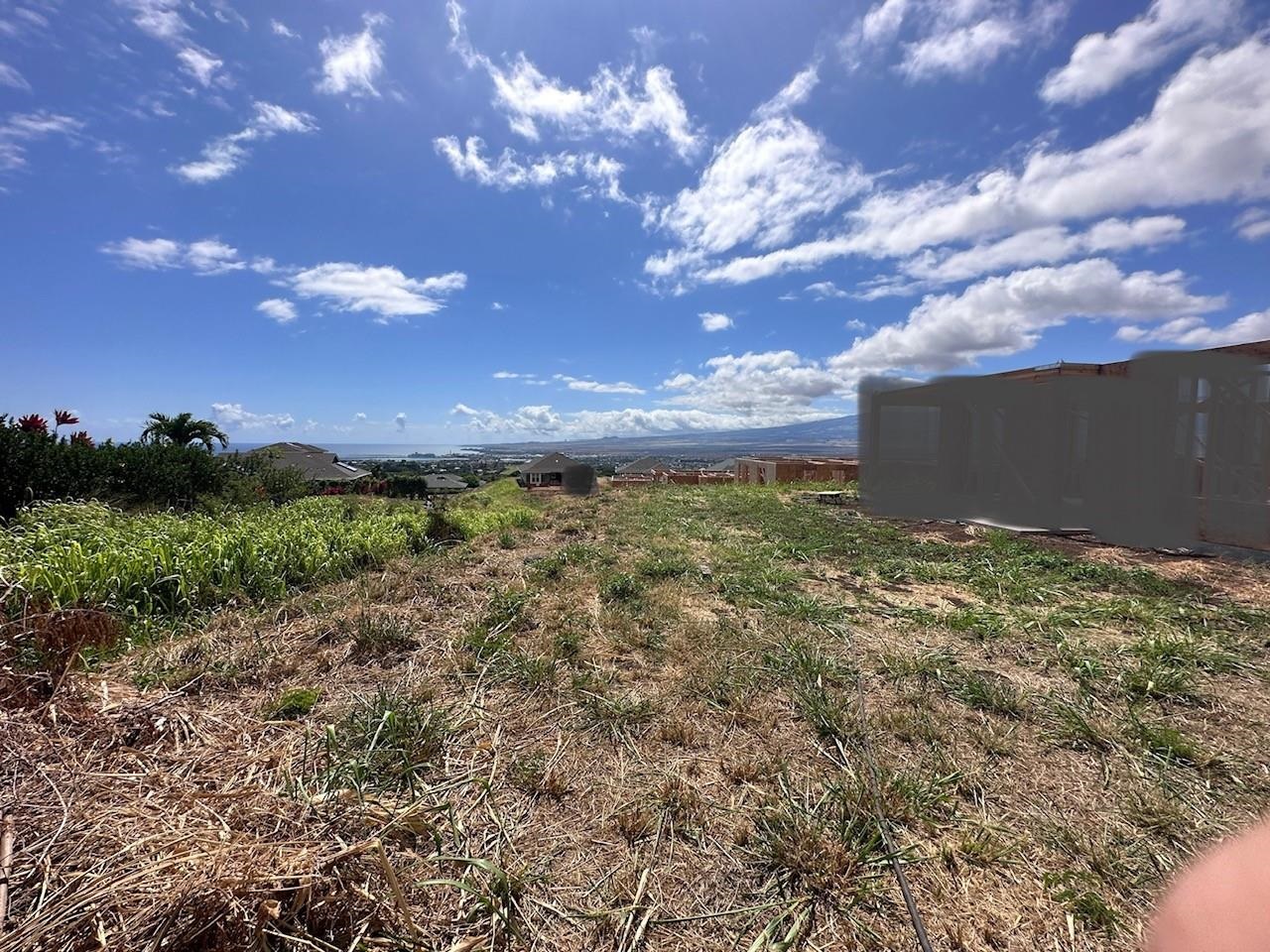 189  Pua Kalaunu Loop Kehalani, Wailuku home - photo 8 of 10