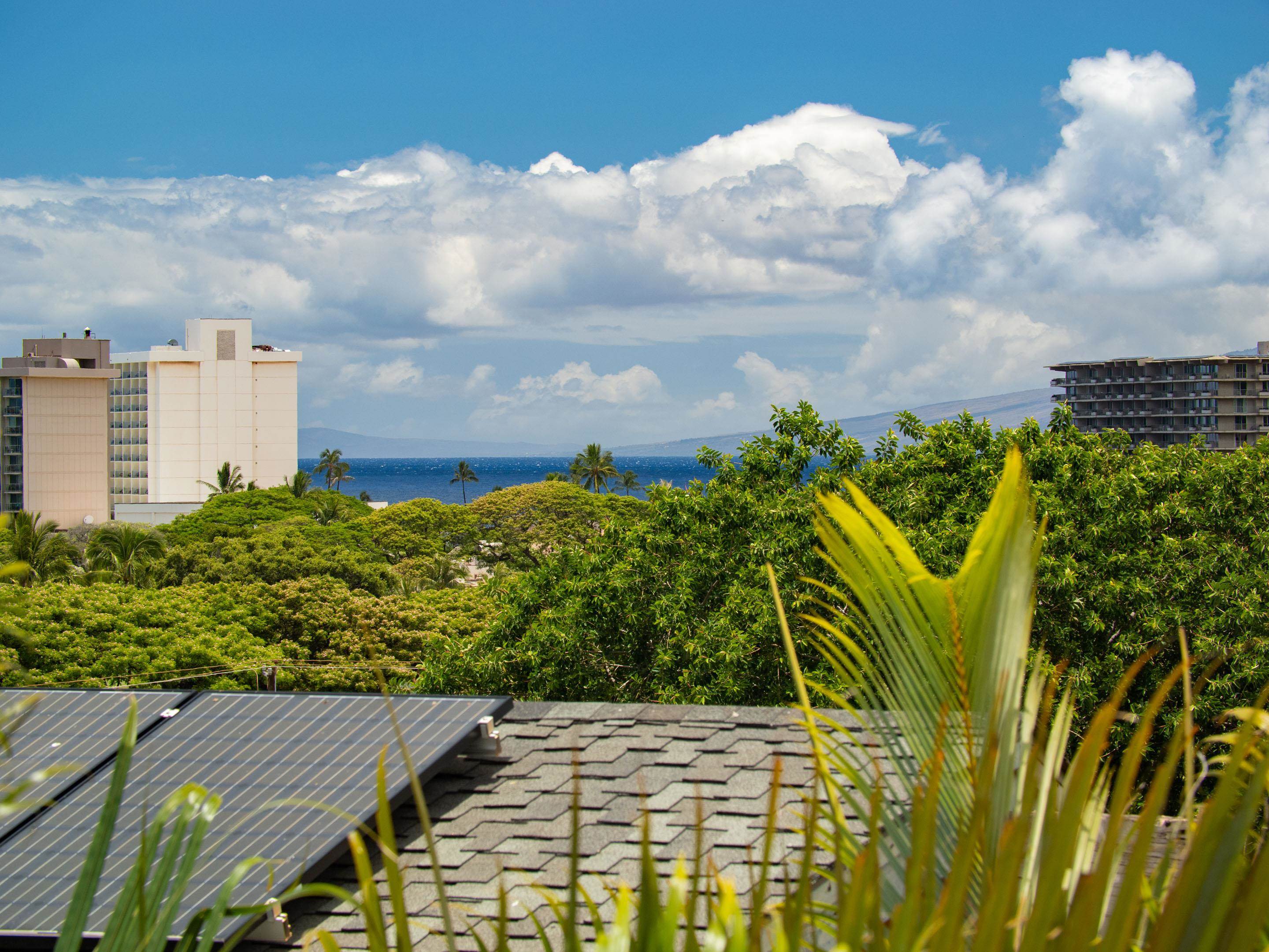 19  Holomakani Pl Ka'anapali, Kaanapali home - photo 14 of 50