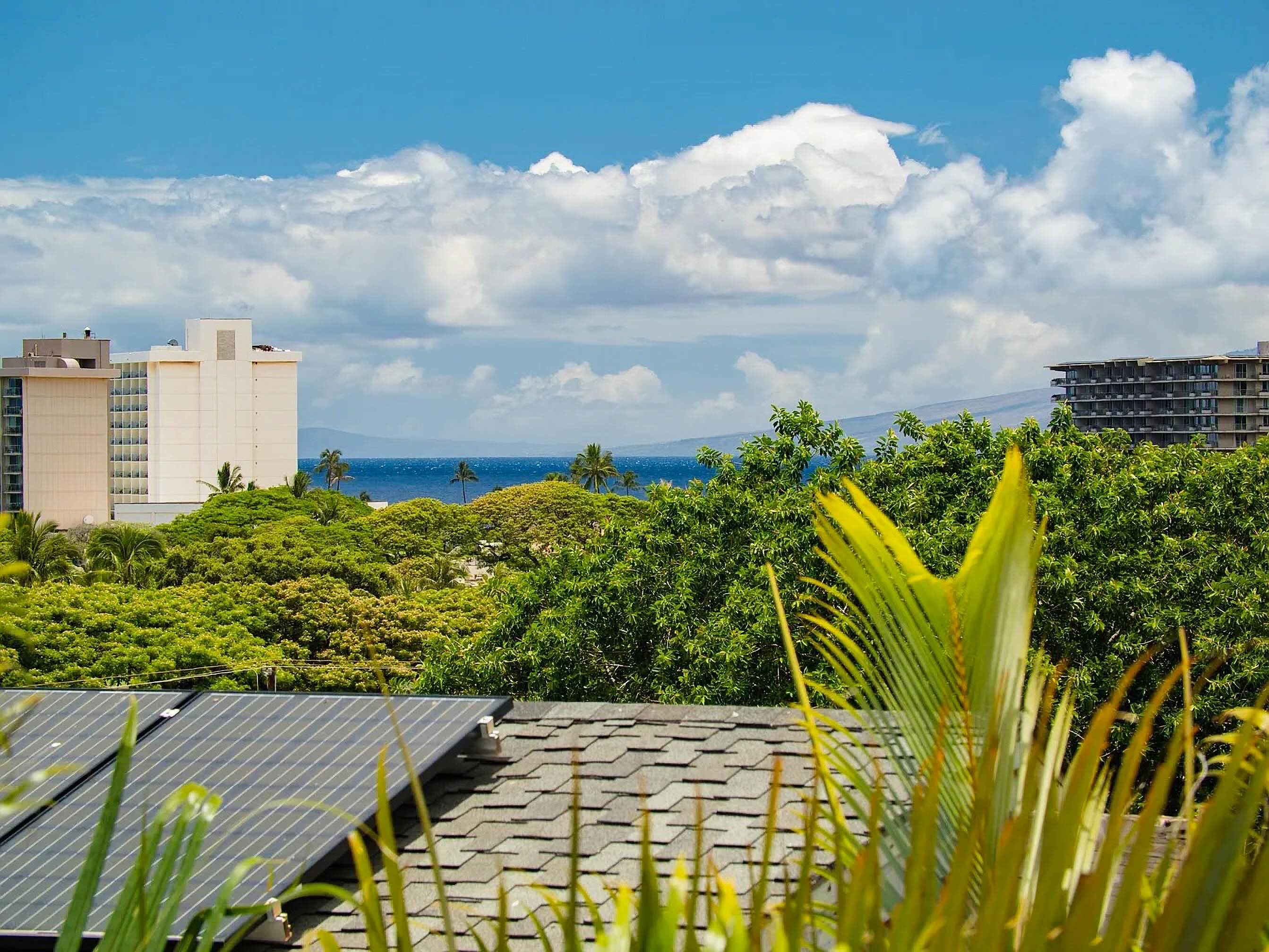 19  Holomakani Pl Ka'anapali, Kaanapali home - photo 14 of 50