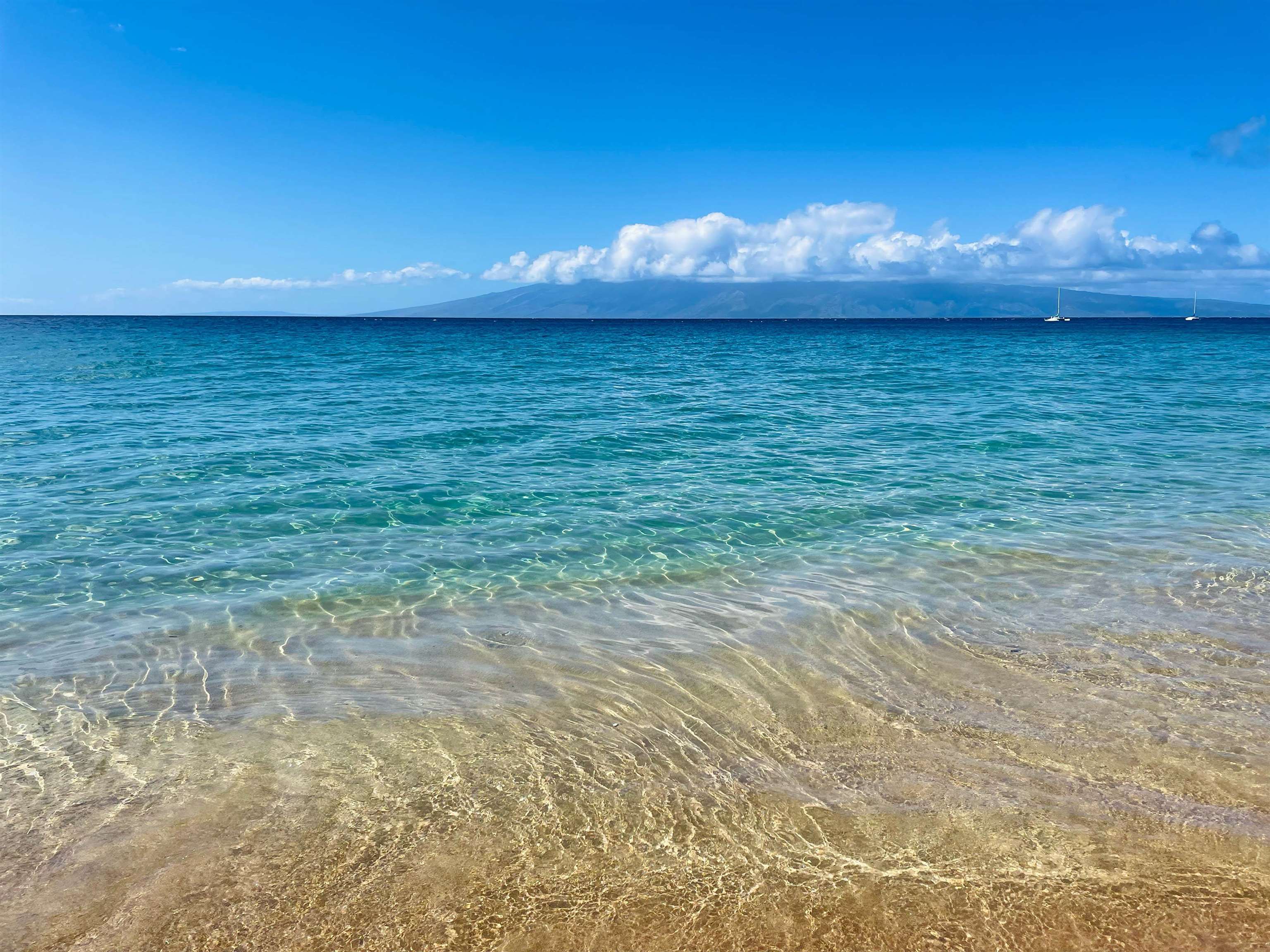 19  Holomakani Pl Ka'anapali, Kaanapali home - photo 38 of 50