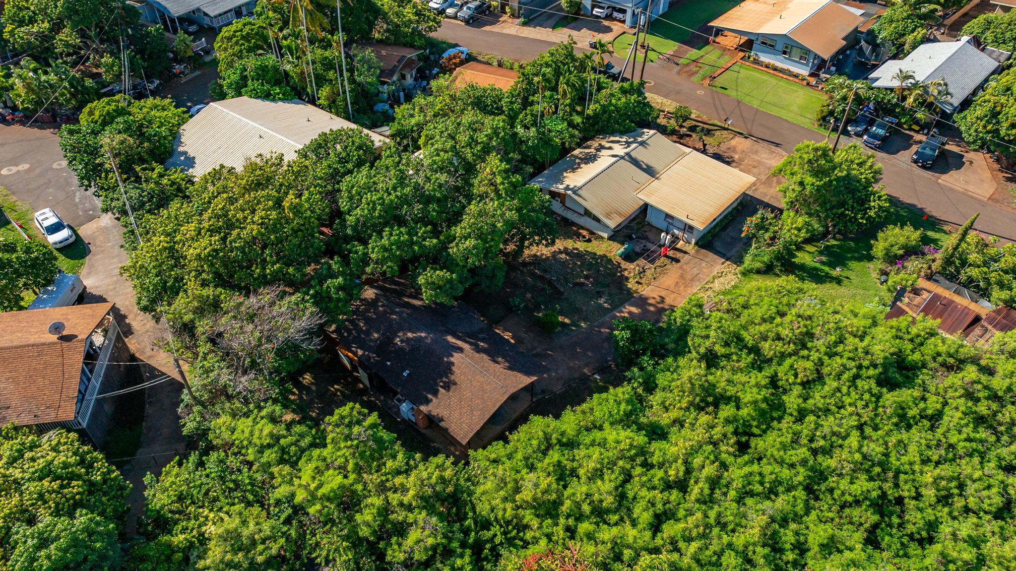 19  Kameeui Pl , Napili/Kahana/Honokowai home - photo 20 of 28