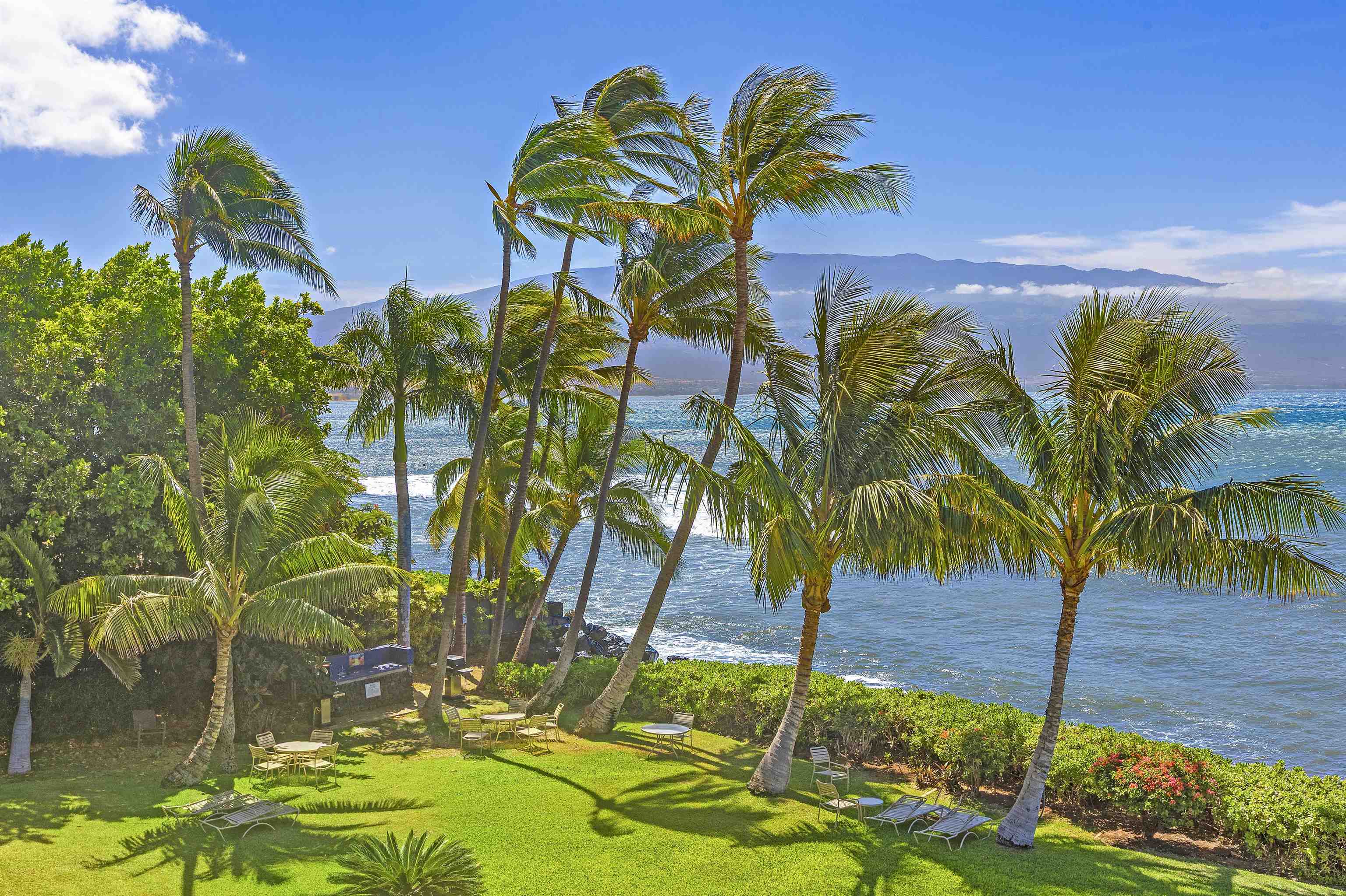 Maalaea Banyans condo # 306, Wailuku, Hawaii - photo 27 of 27