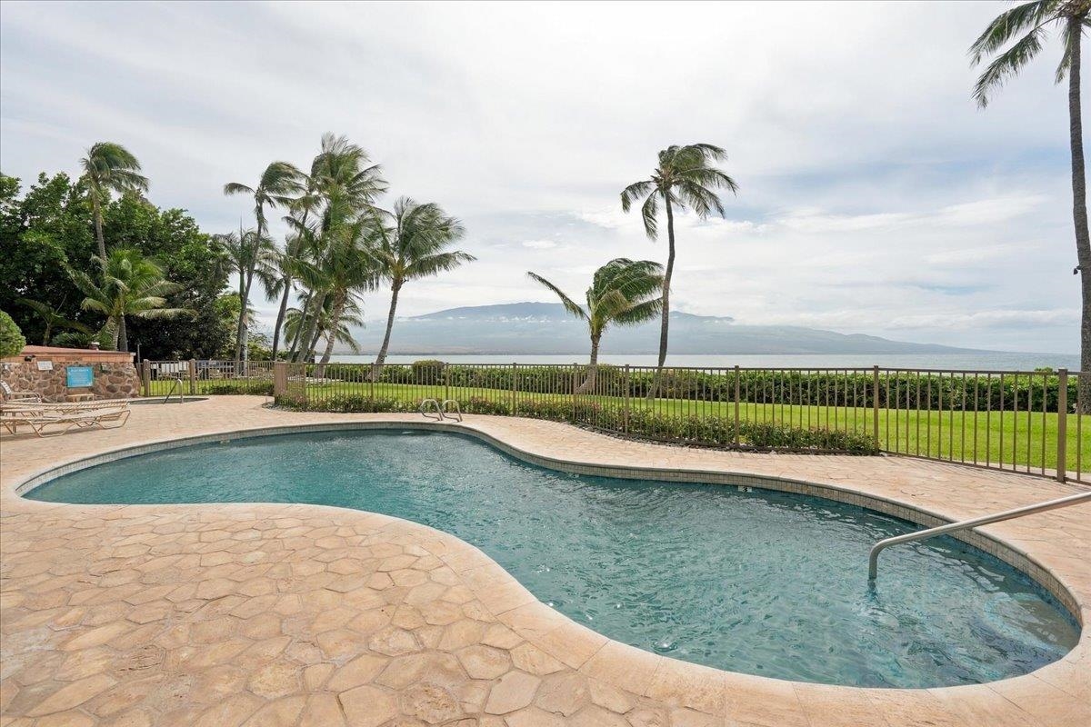 Maalaea Banyans condo # 408, Wailuku, Hawaii - photo 33 of 50