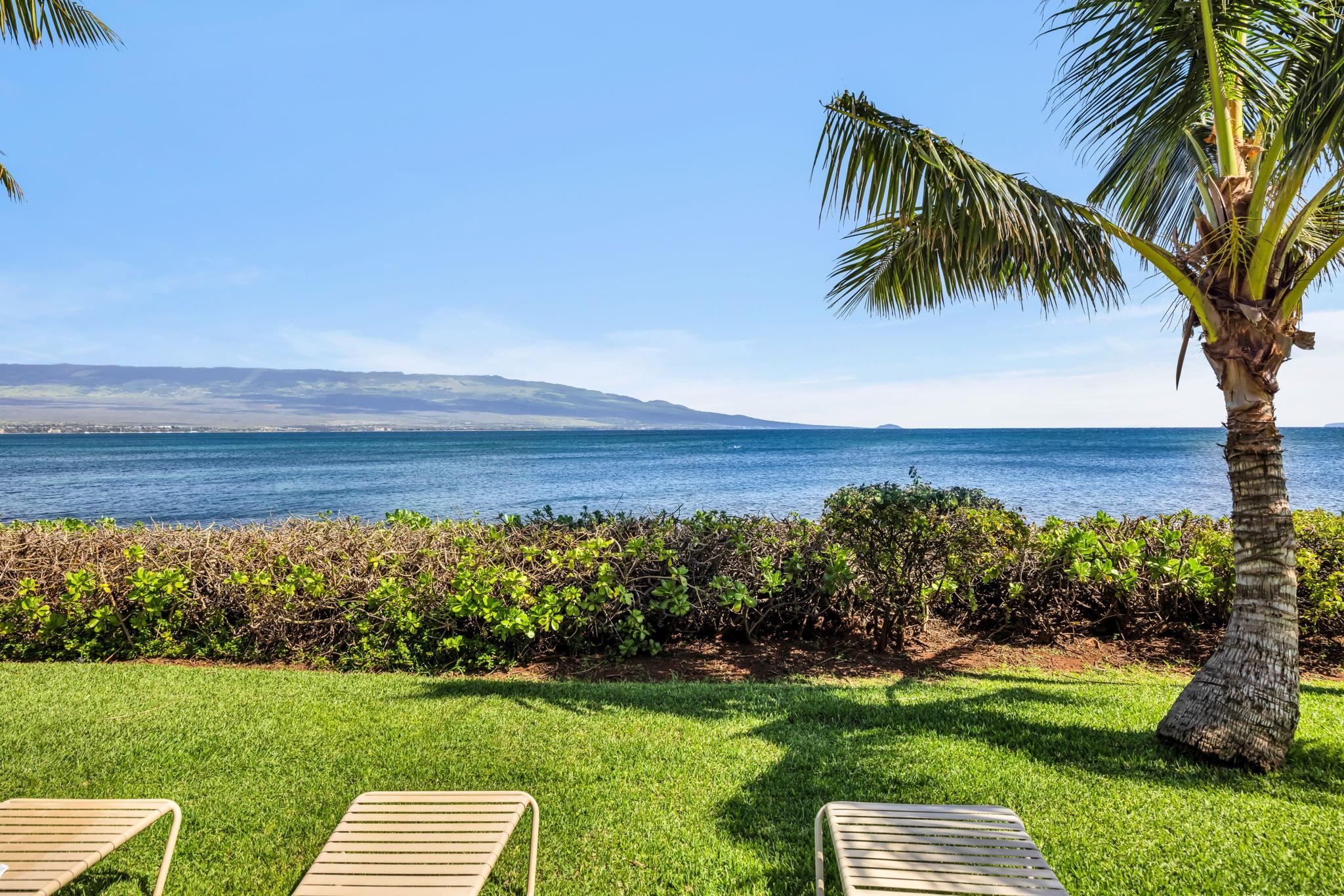 Maalaea Banyans condo # 412, Wailuku, Hawaii - photo 17 of 50