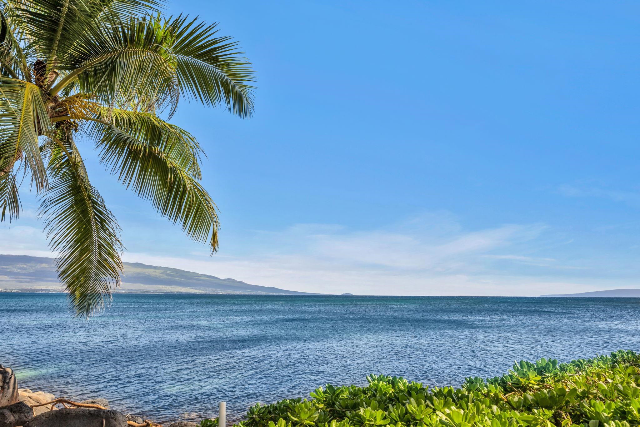 Maalaea Banyans condo # 412, Wailuku, Hawaii - photo 19 of 50