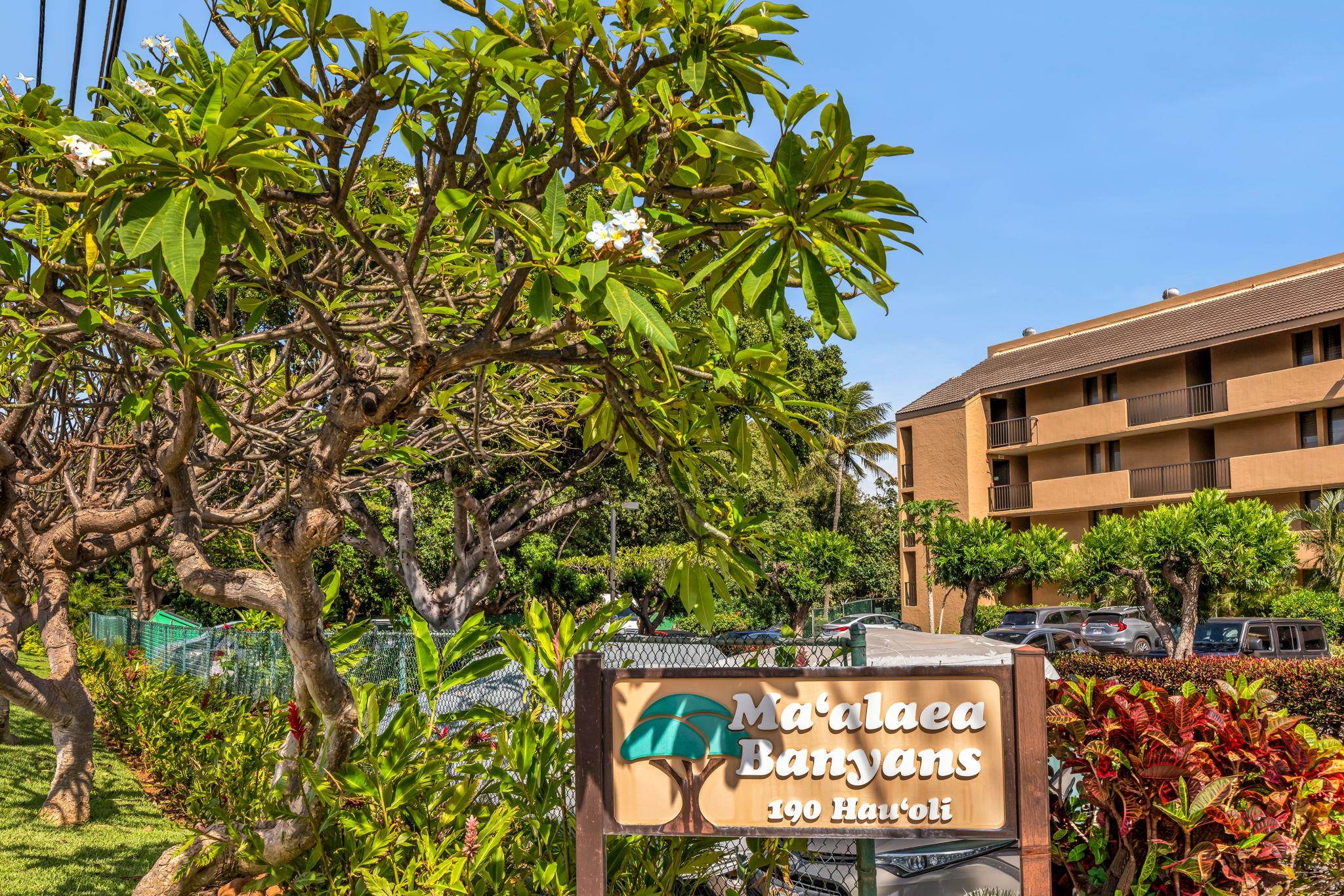 Maalaea Banyans condo # 412, Wailuku, Hawaii - photo 3 of 50