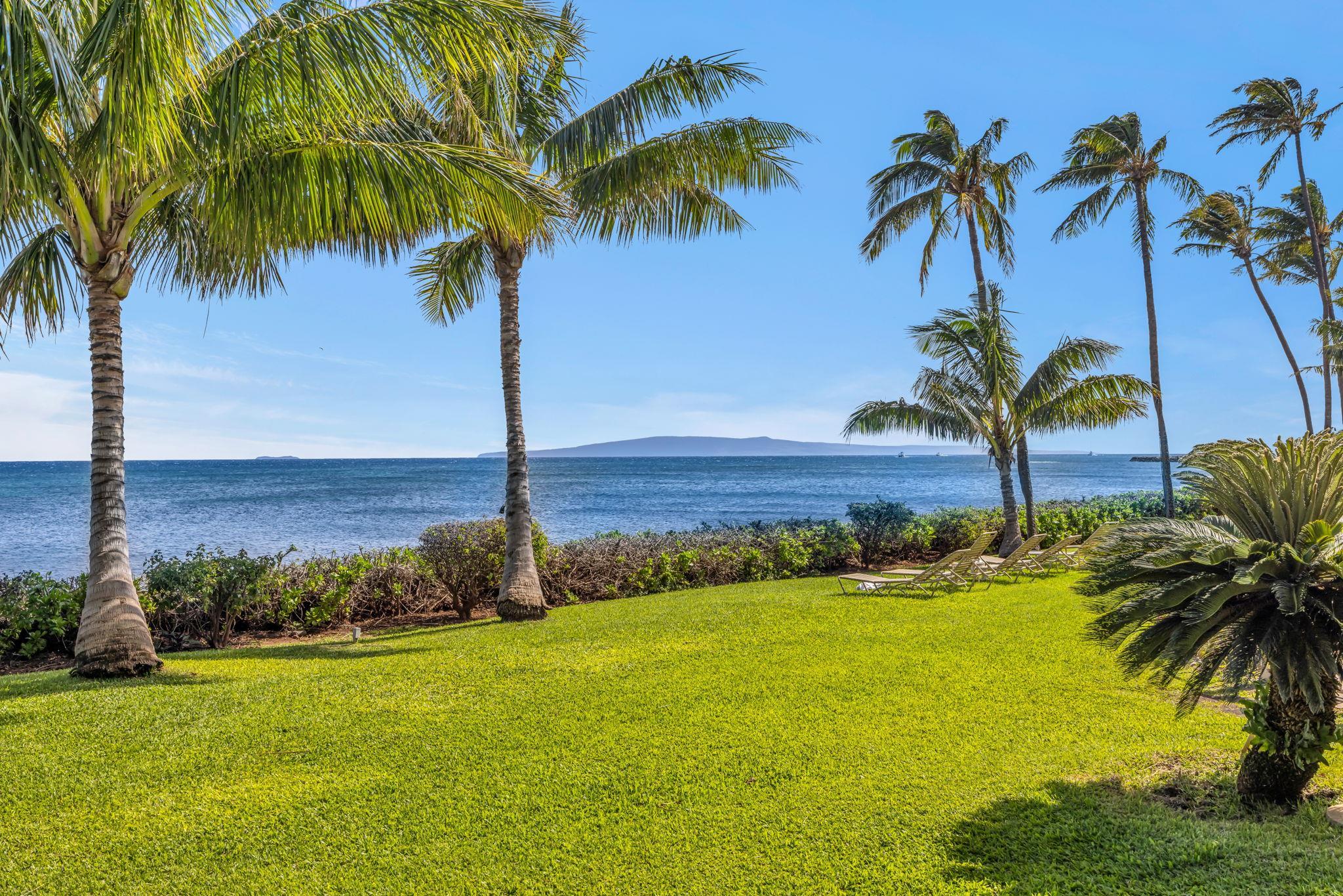 Maalaea Banyans condo # 412, Wailuku, Hawaii - photo 22 of 50