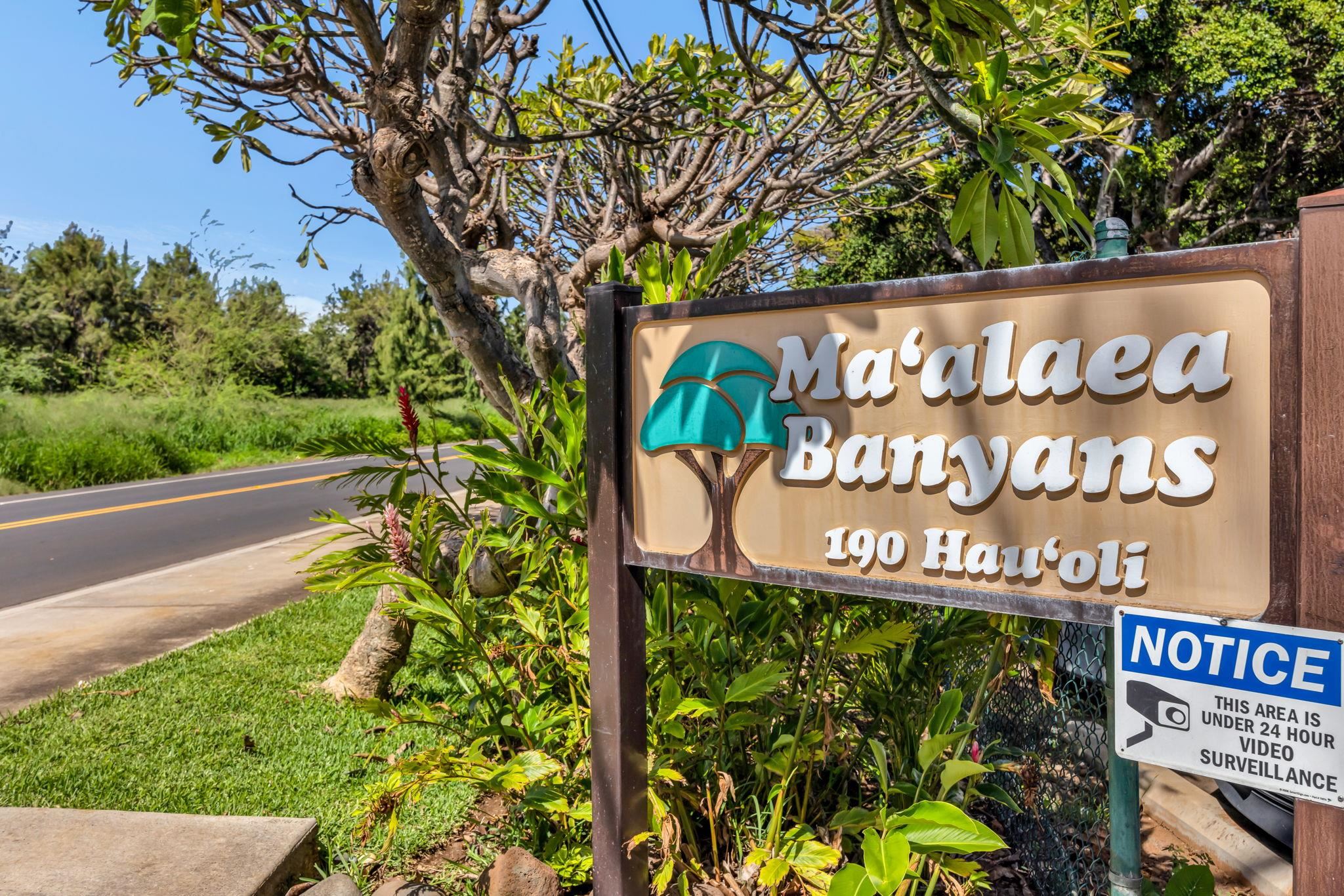 Maalaea Banyans condo # 412, Wailuku, Hawaii - photo 24 of 50