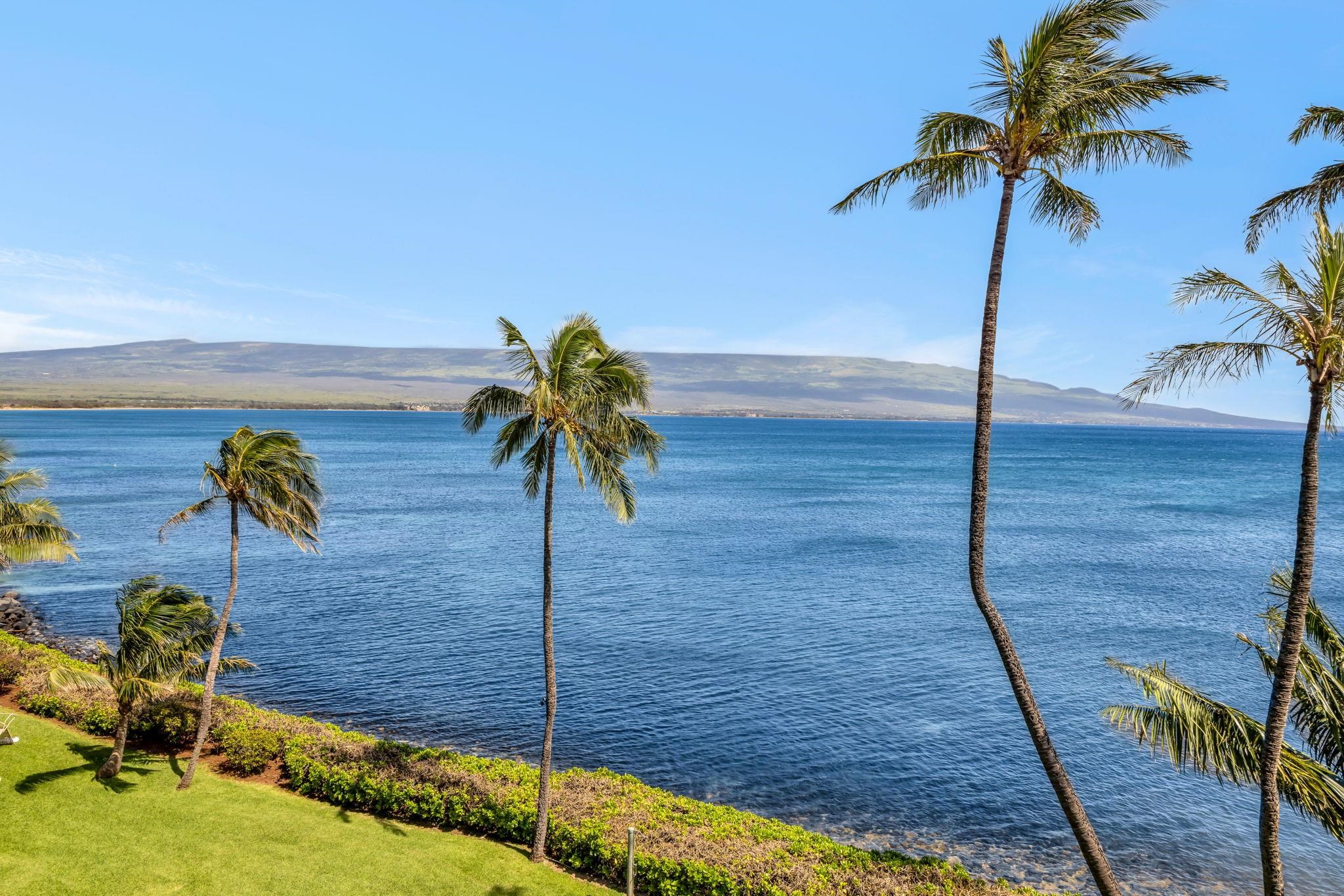 Maalaea Banyans condo # 412, Wailuku, Hawaii - photo 33 of 50