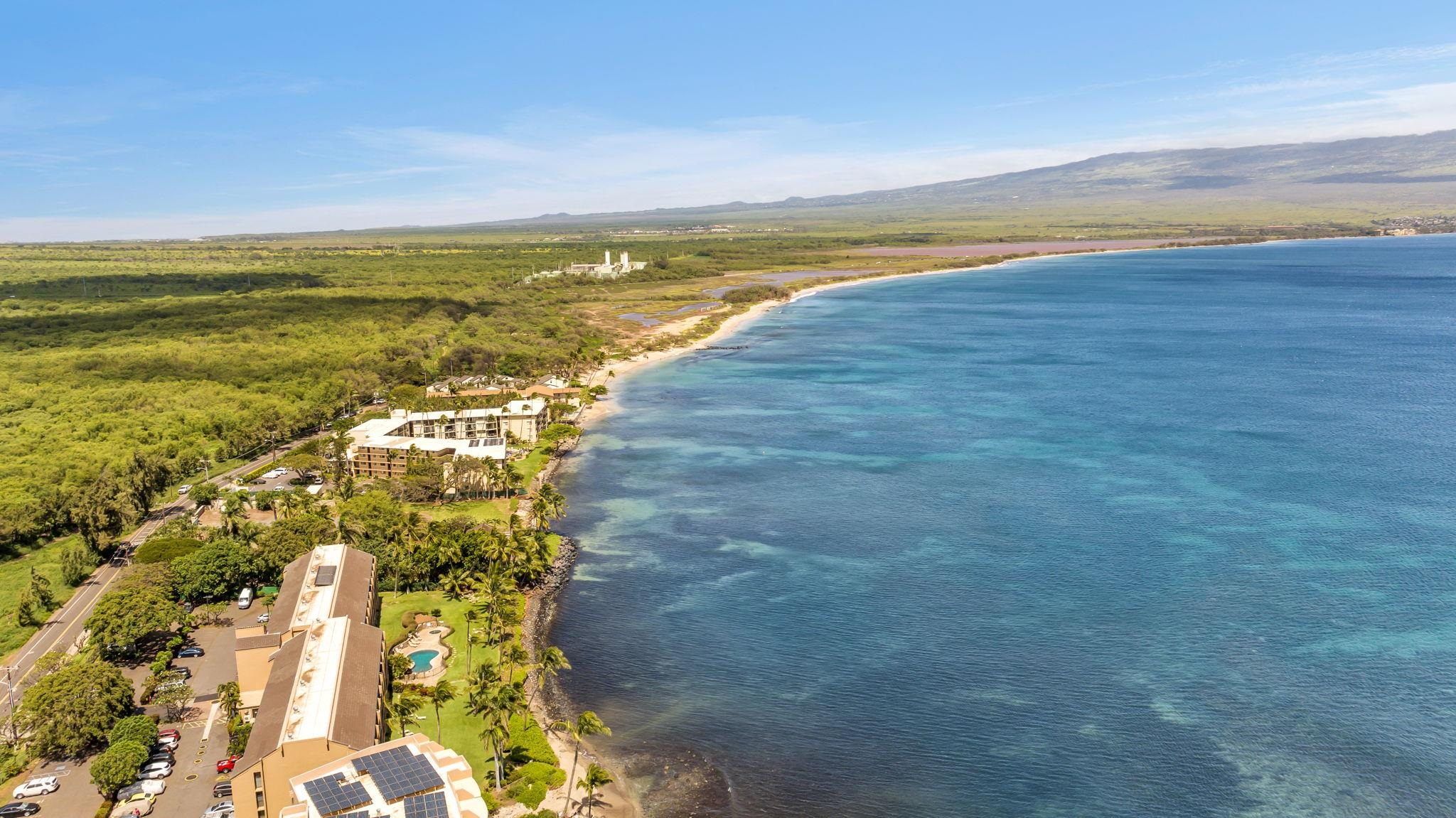 Maalaea Banyans condo # 412, Wailuku, Hawaii - photo 40 of 50
