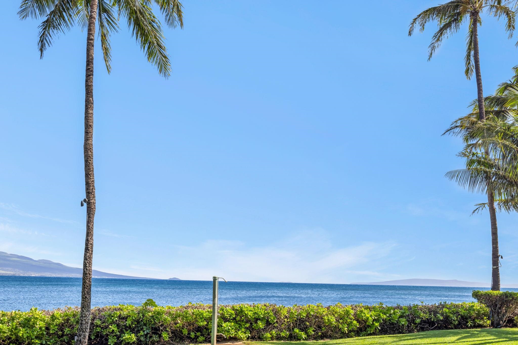 Maalaea Banyans condo # 412, Wailuku, Hawaii - photo 49 of 50