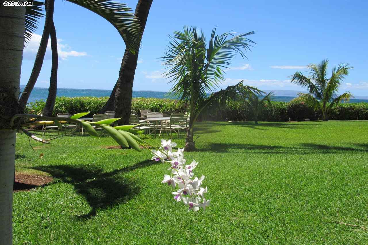 Maalaea Banyans condo # 317, Wailuku, Hawaii - photo 25 of 29