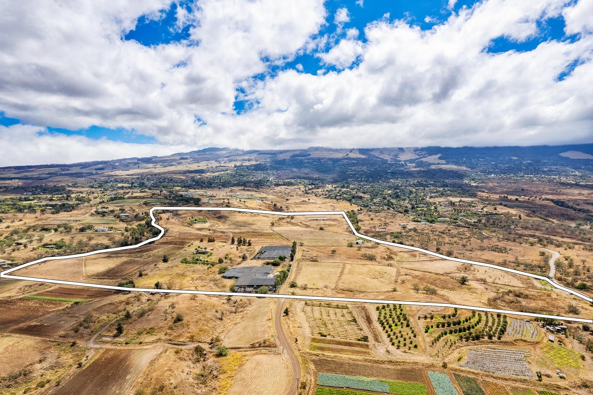 1900 Pulehu Rd  Kula, Hi vacant land for sale - photo 11 of 28