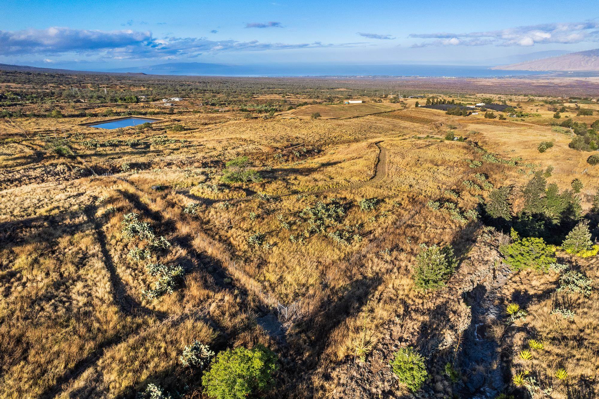 1900 Pulehu Rd  Kula, Hi vacant land for sale - photo 13 of 28