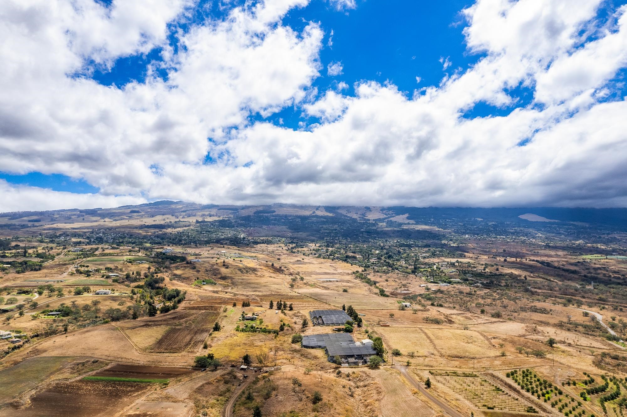 1900 Pulehu Rd  Kula, Hi vacant land for sale - photo 21 of 28