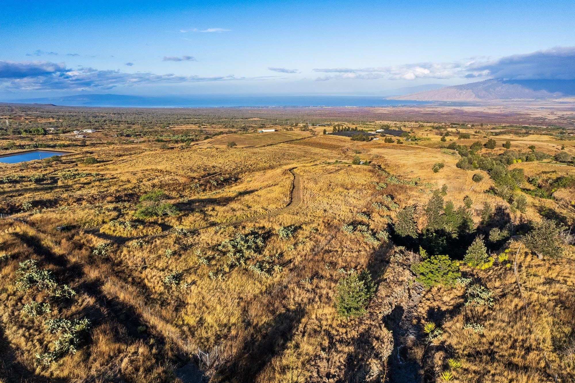 1900 Pulehu Rd  Kula, Hi vacant land for sale - photo 24 of 28