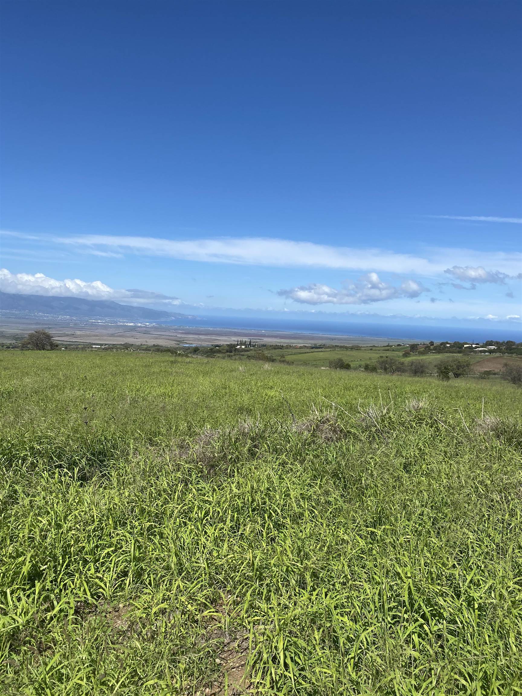 1900 Pulehu Rd  Kula, Hi vacant land for sale - photo 25 of 28