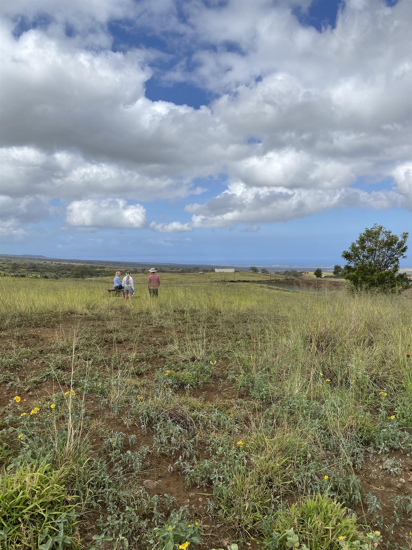 1900 Pulehu Rd  Kula, Hi vacant land for sale - photo 26 of 28