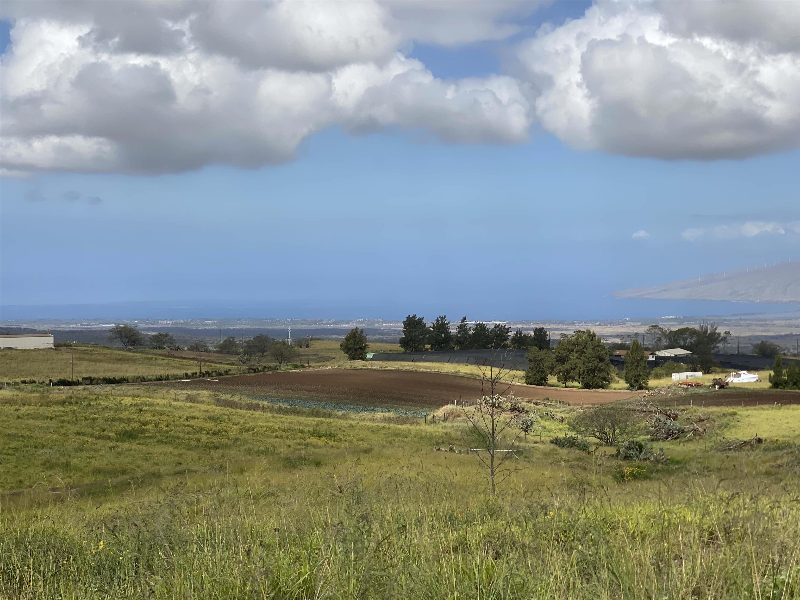 1900 Pulehu Rd  Kula, Hi vacant land for sale - photo 6 of 28