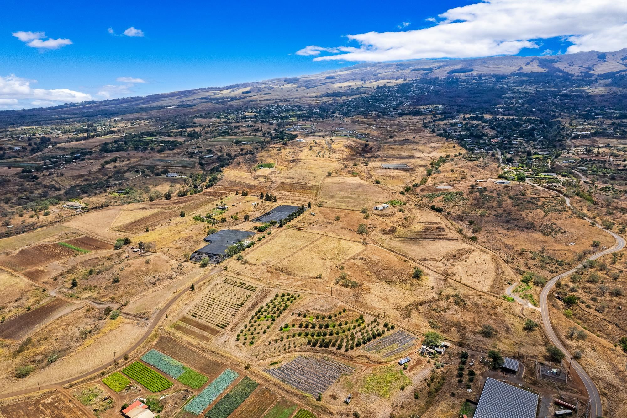 1900 Pulehu Rd  Kula, Hi vacant land for sale - photo 8 of 28