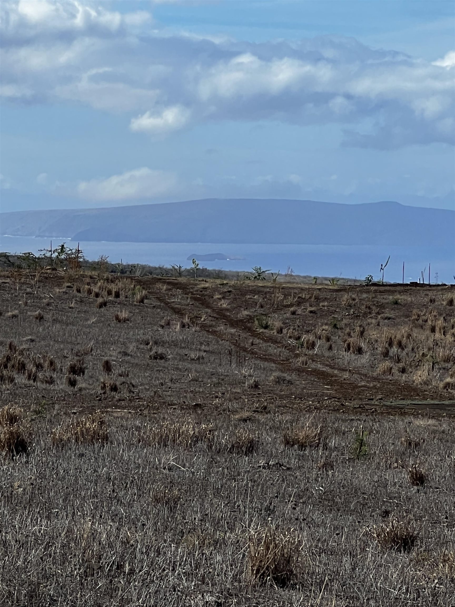 1900 Pulehu Rd  Kula, Hi vacant land for sale - photo 9 of 28