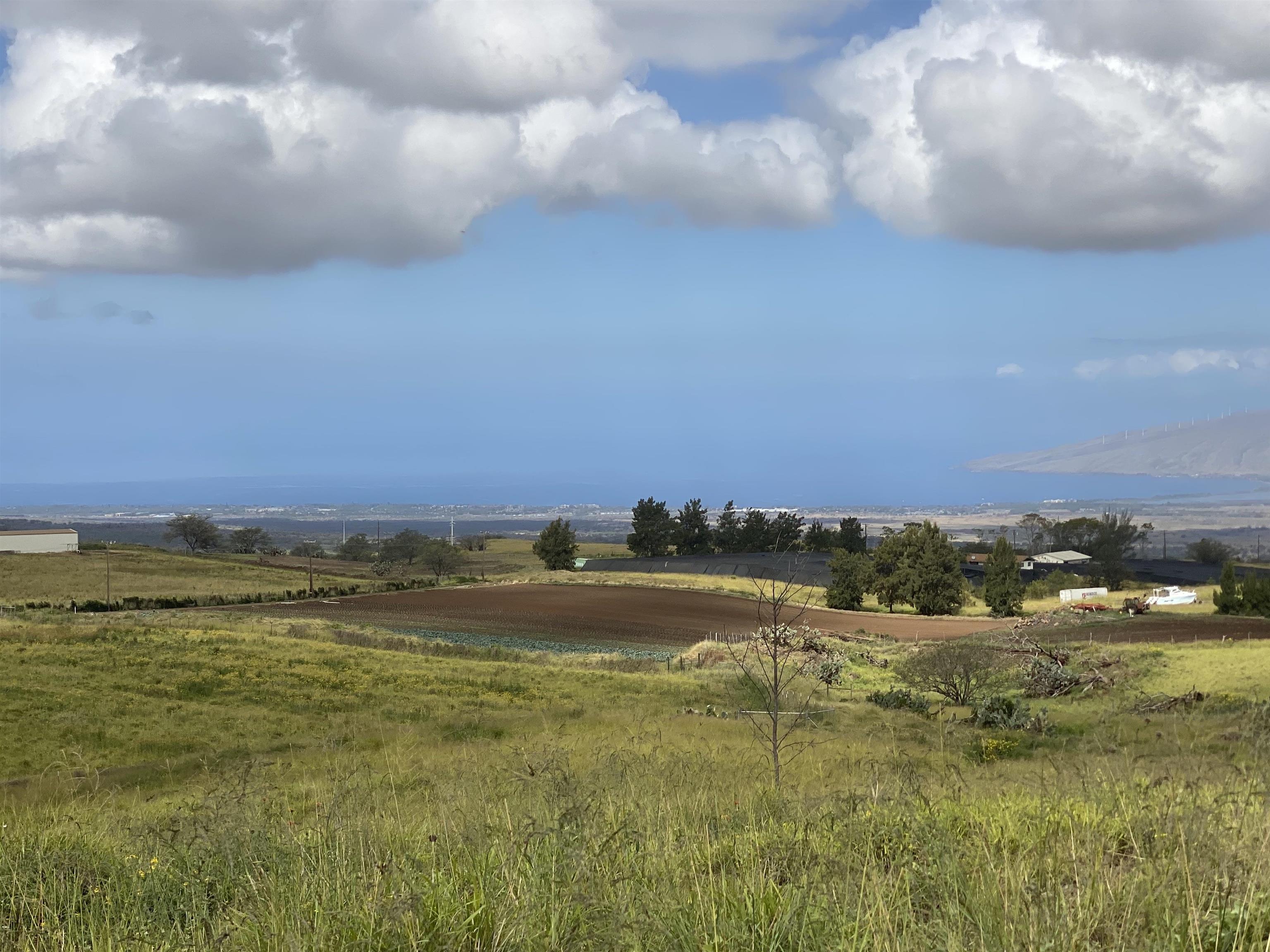 1900 Pulehu Rd  Kula, Hi vacant land for sale - photo 10 of 28