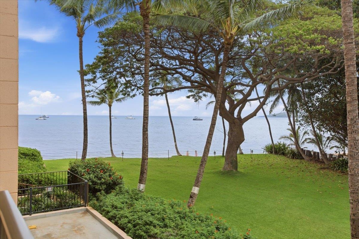 Kealia condo # 209, Kihei, Hawaii - photo 38 of 50