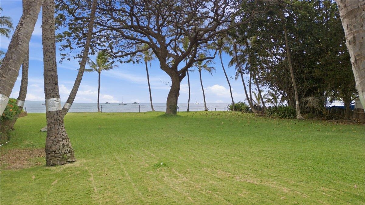 Kealia condo # 209, Kihei, Hawaii - photo 45 of 50