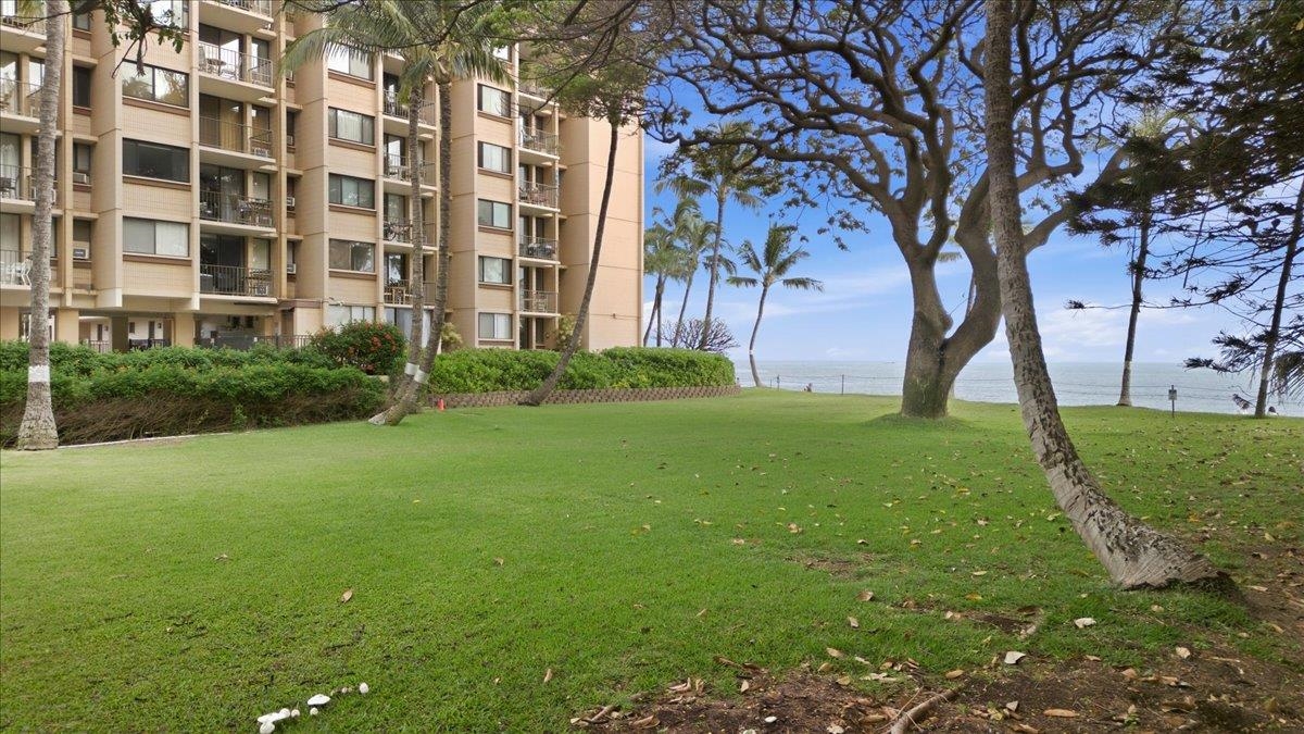 Kealia condo # 209, Kihei, Hawaii - photo 46 of 50